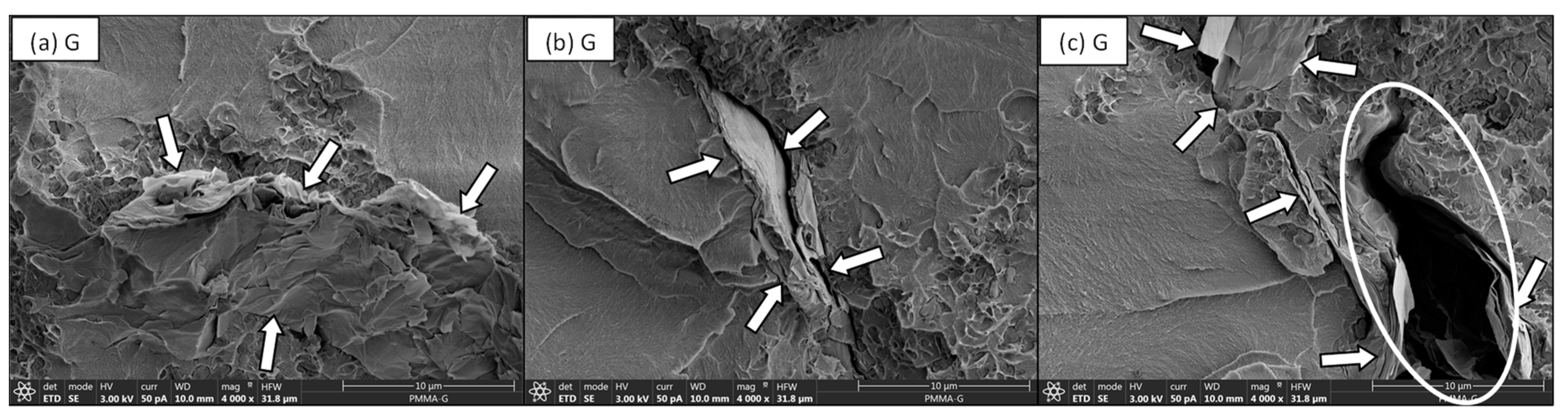 Nanomaterials 11 00139 g006