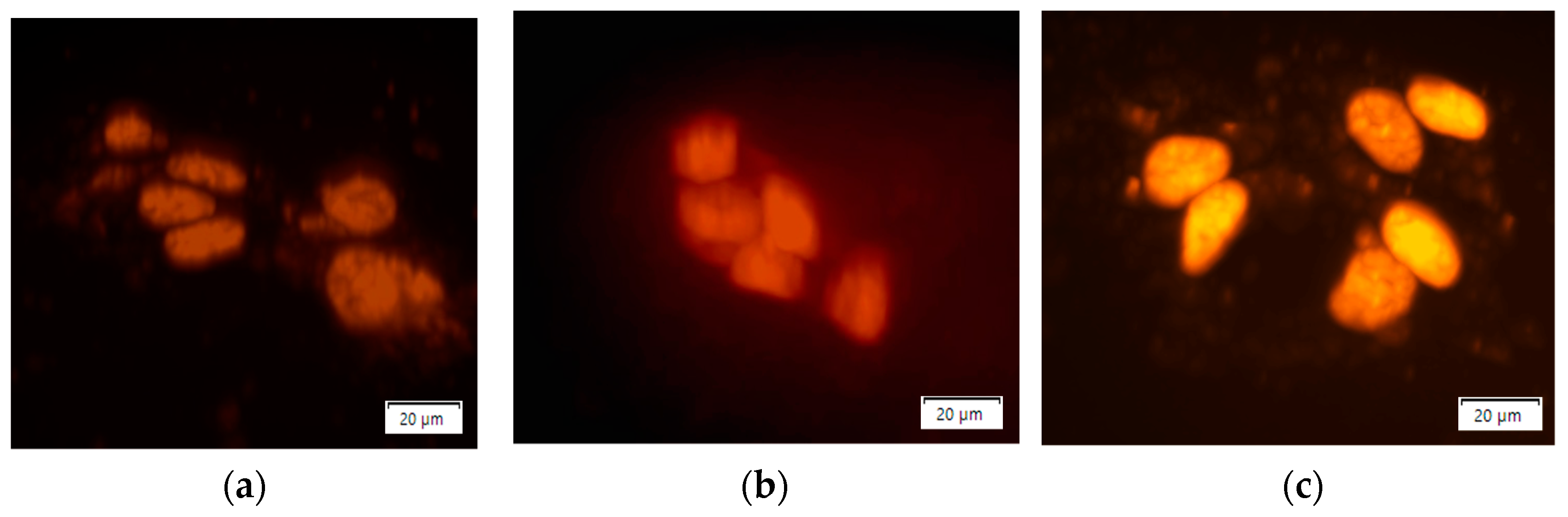 Nanomaterials 11 00140 g003a Nanomaterials 11 00140 g003a