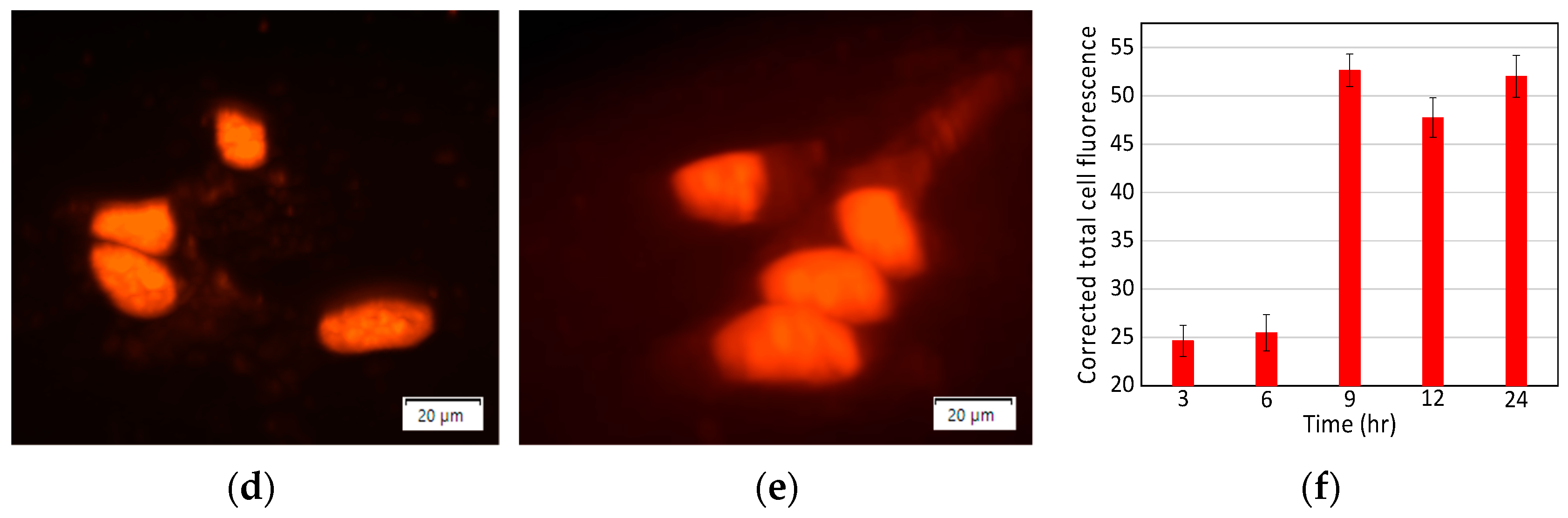 Nanomaterials 11 00140 g003b Nanomaterials 11 00140 g003b
