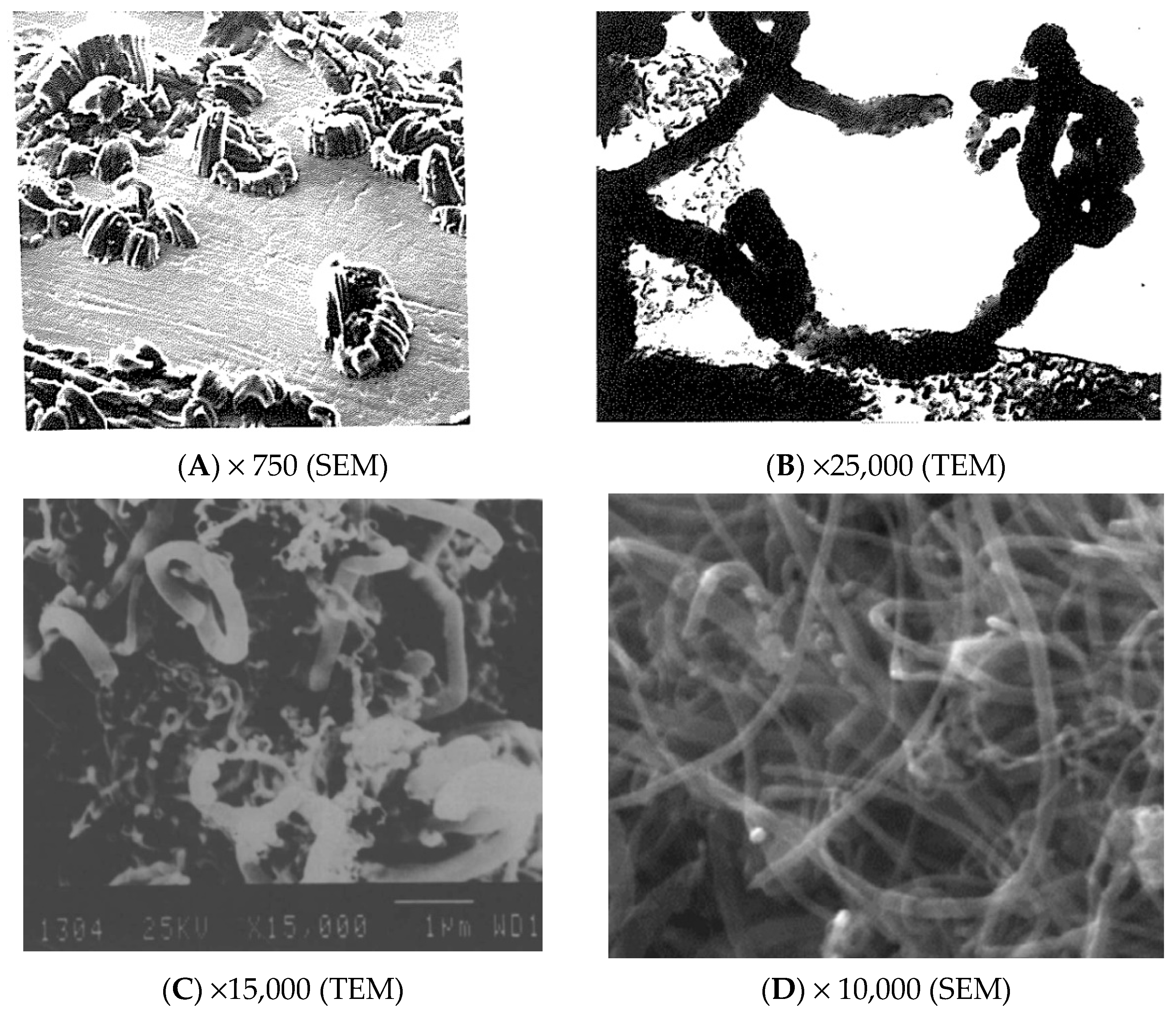 Nanomaterials 11 00143 g002