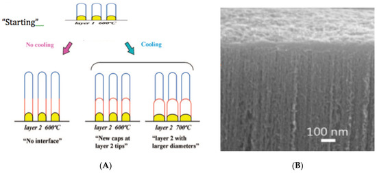 Nanomaterials 11 00143 g005 550