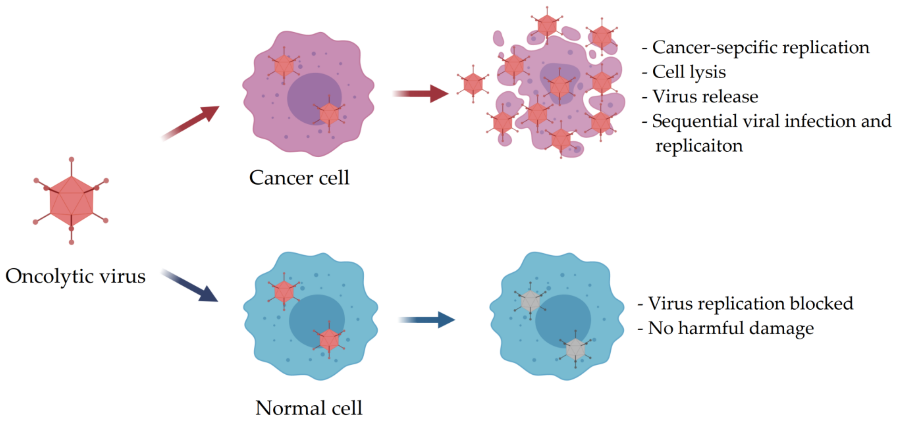 Nanomaterials 11 00144 g001