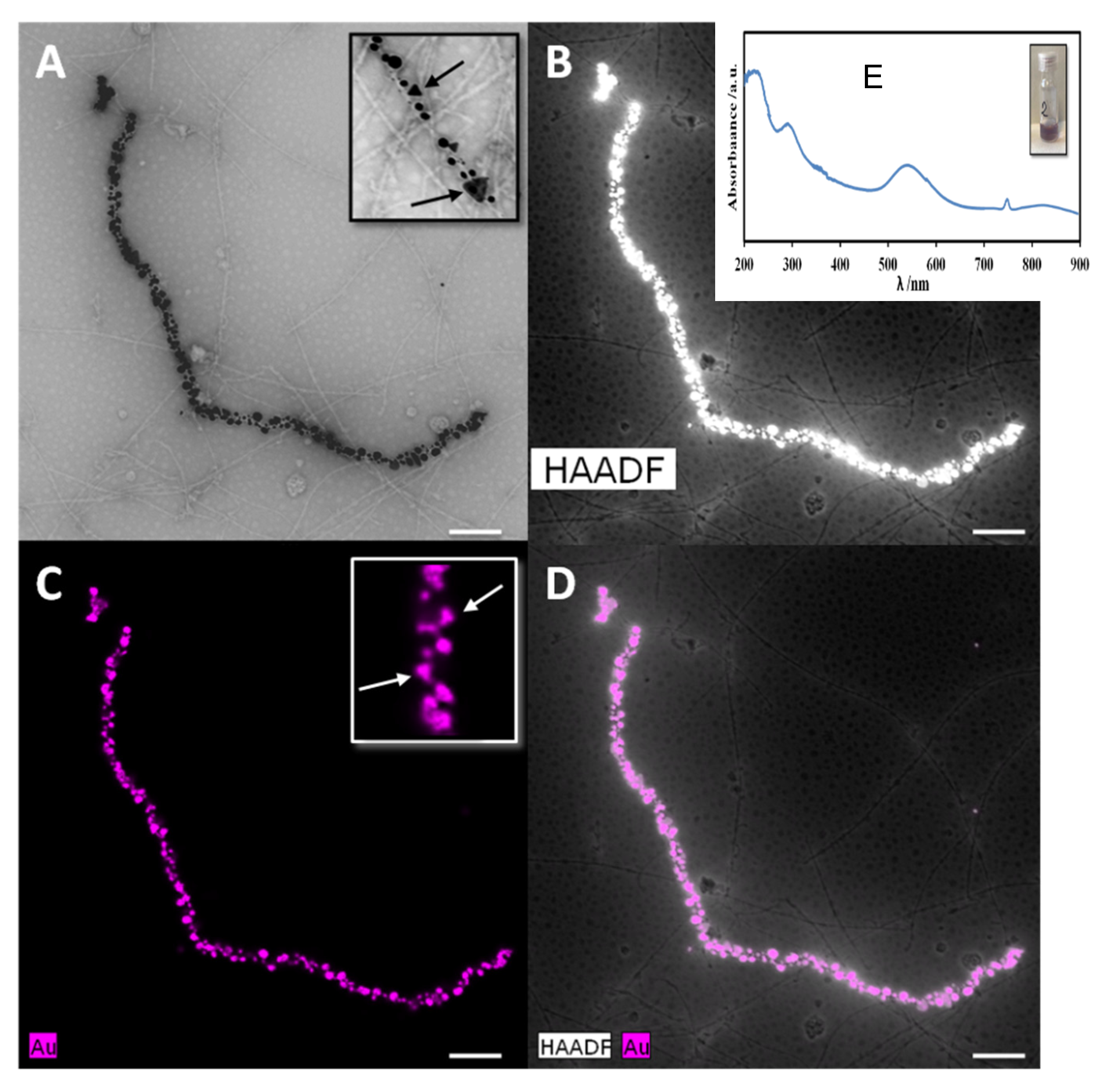Nanomaterials 11 00146 g005 Nanomaterials 11 00146 g005