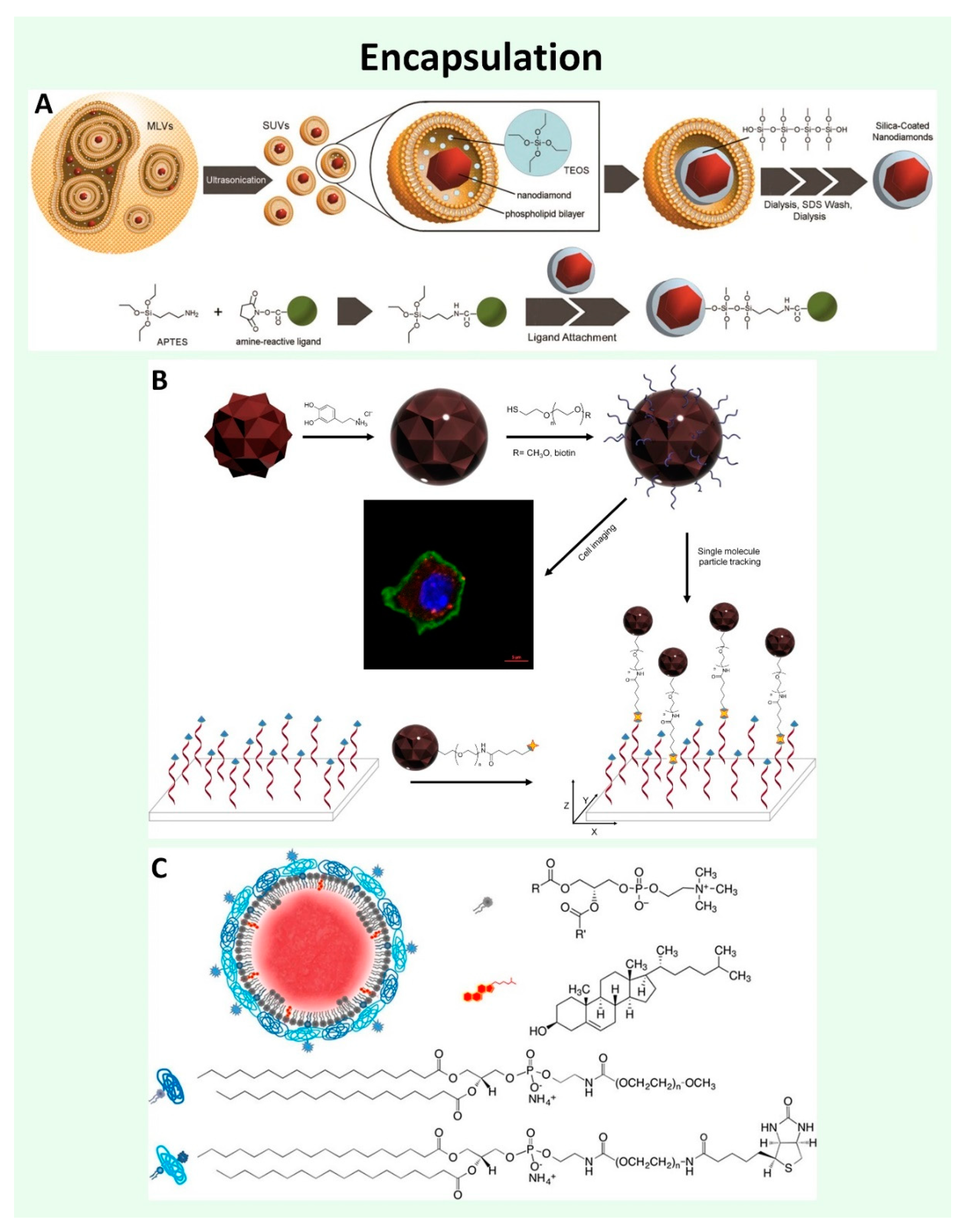 Nanomaterials 11 00153 g004