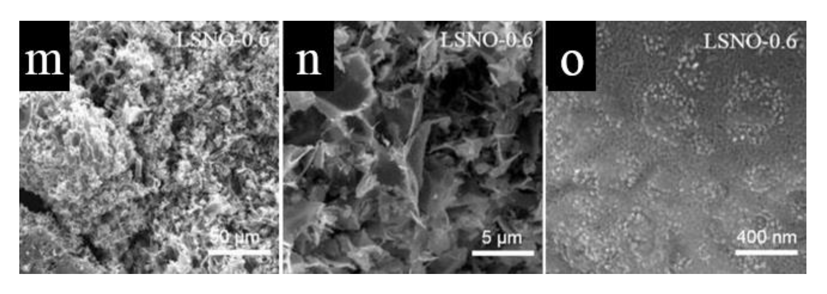 Nanomaterials 11 00155 g002b Nanomaterials 11 00155 g002b