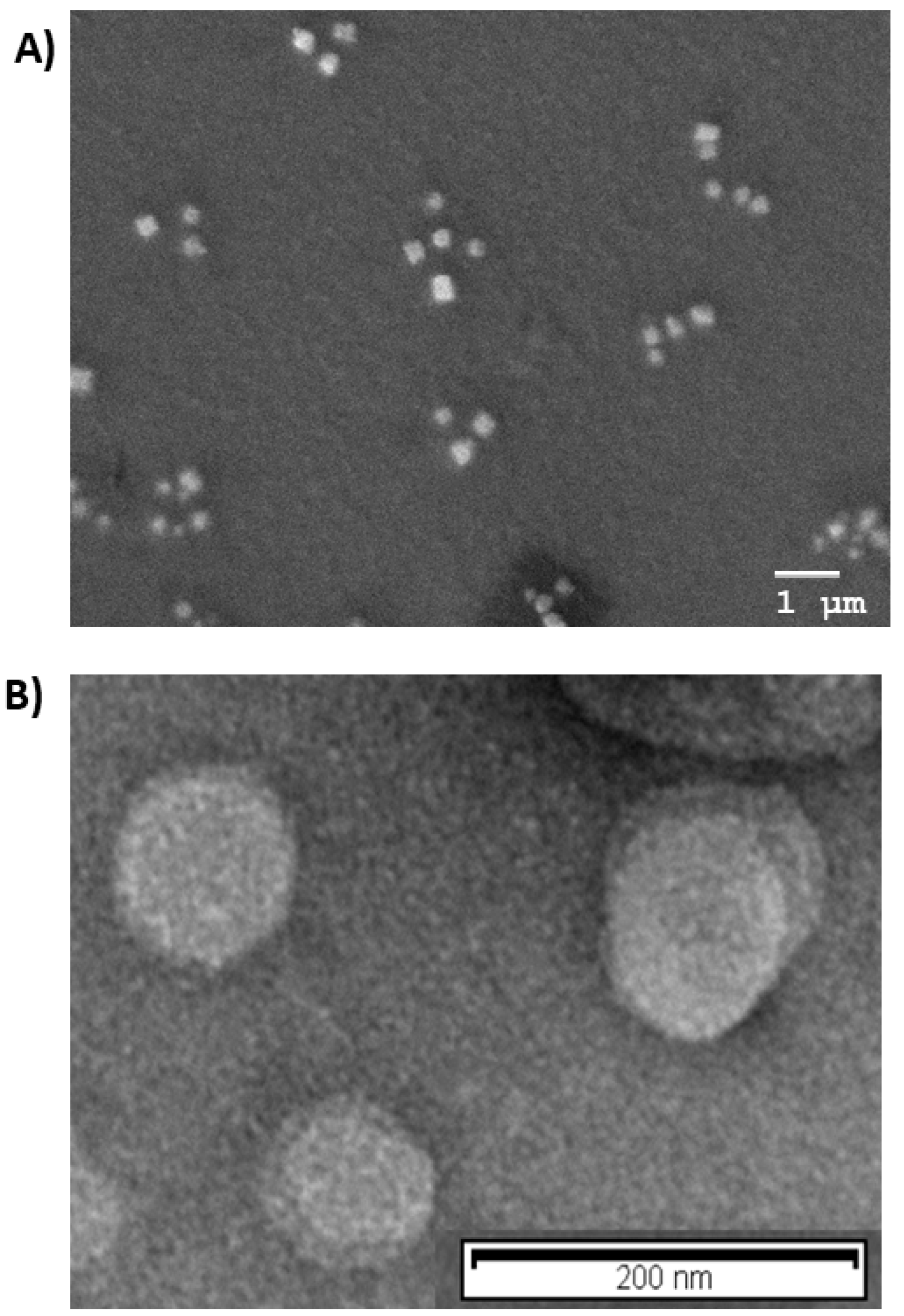 Nanomaterials 11 00159 g001