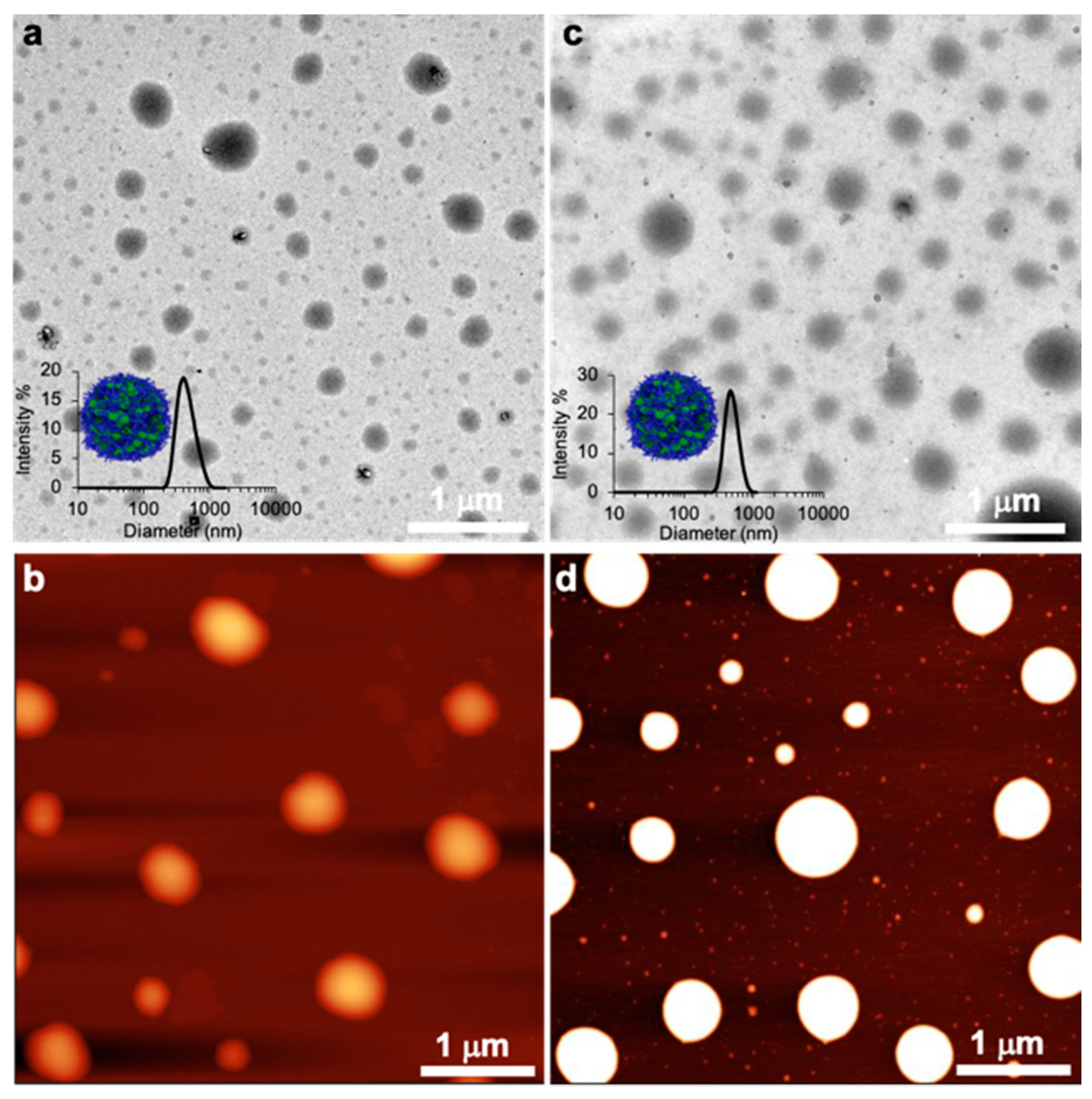 Nanomaterials 11 00161 g003