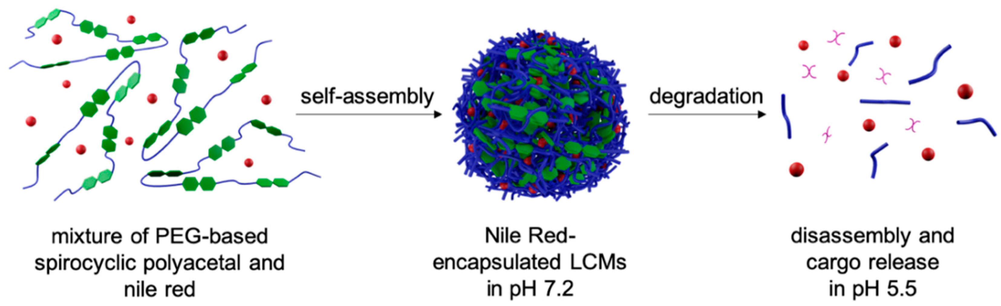 Nanomaterials 11 00161 sch001