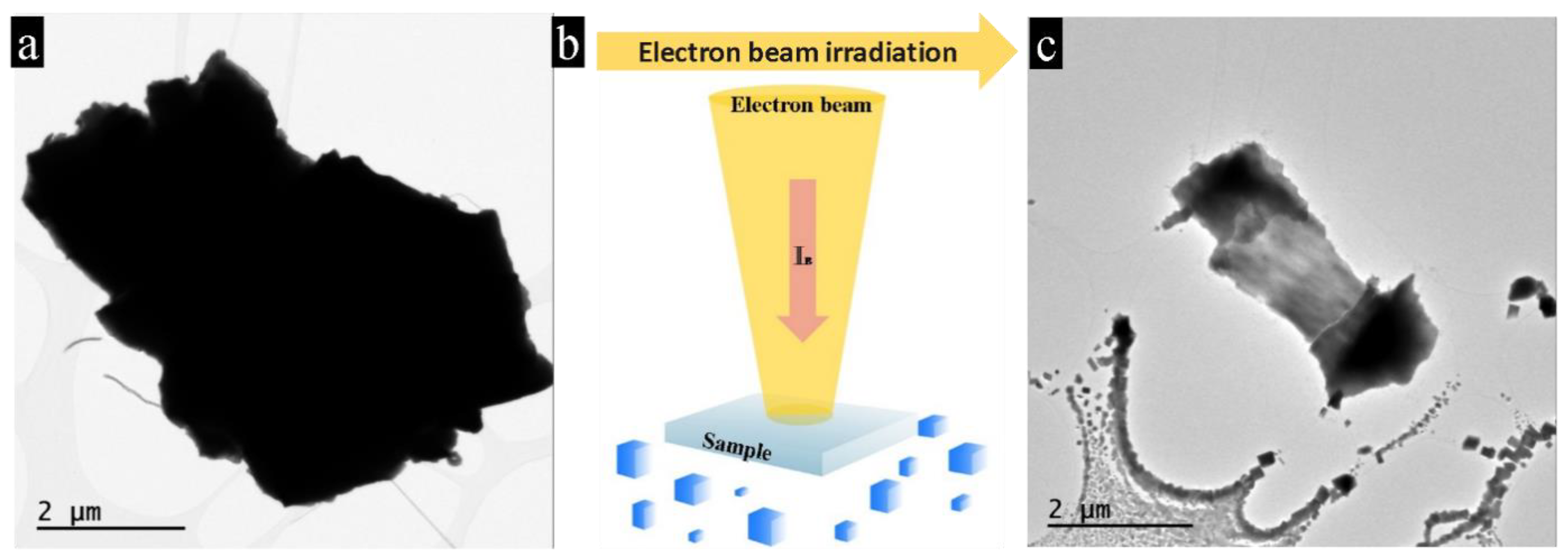 Nanomaterials 11 00163 g001