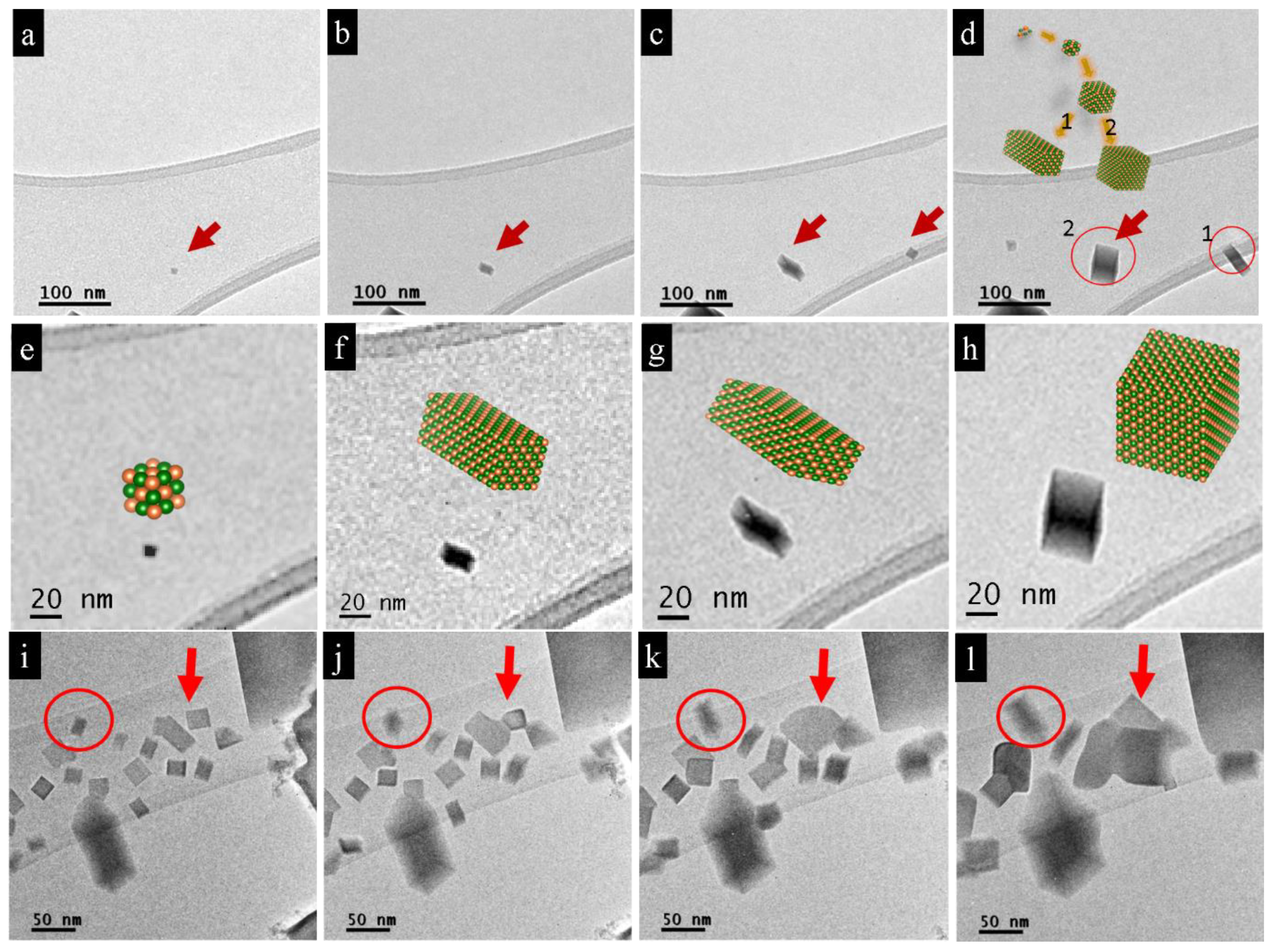Nanomaterials 11 00163 g006