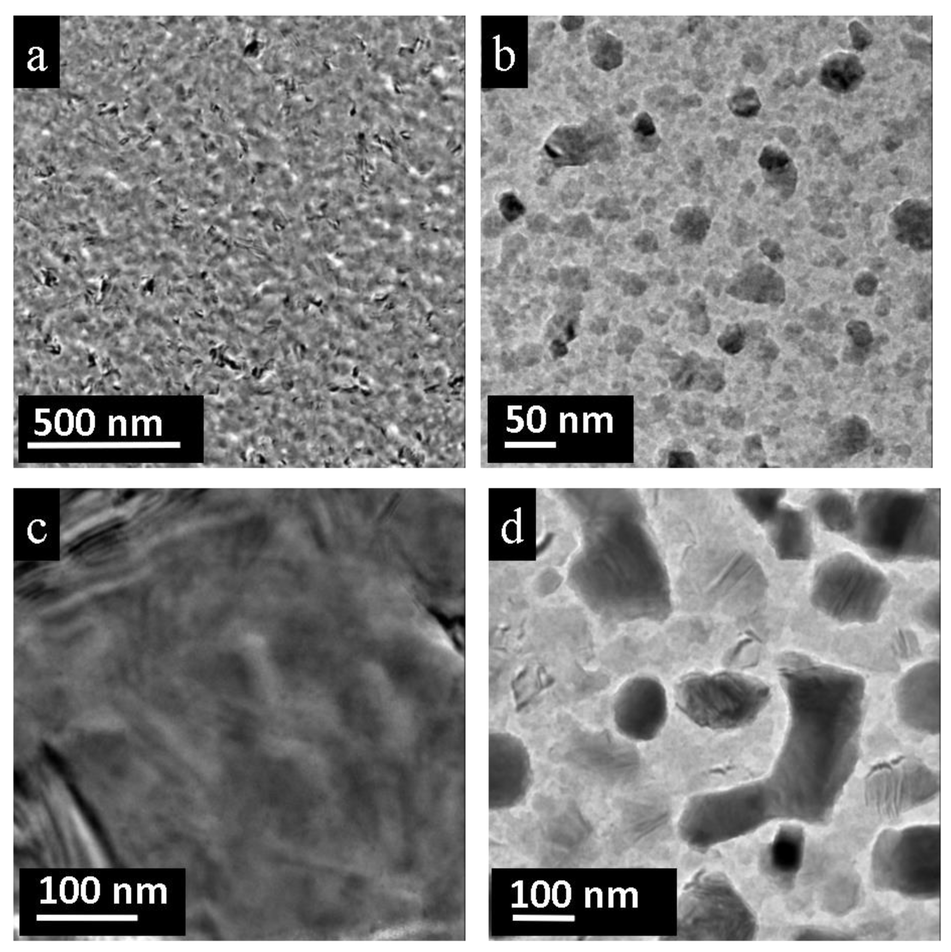 Nanomaterials 11 00163 g008