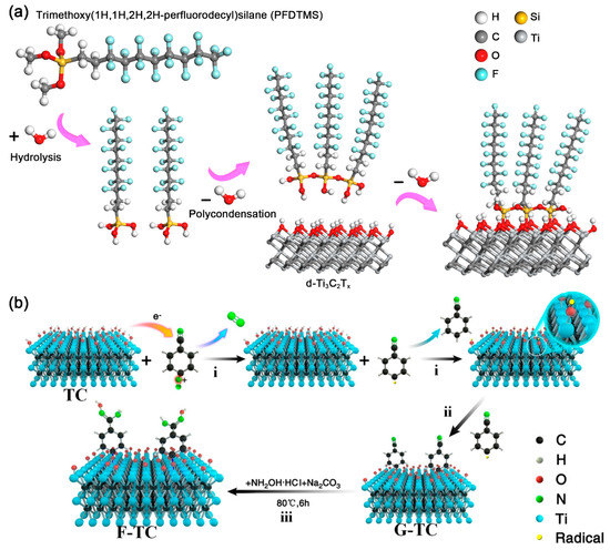 Nanomaterials 11 00166 g002 550