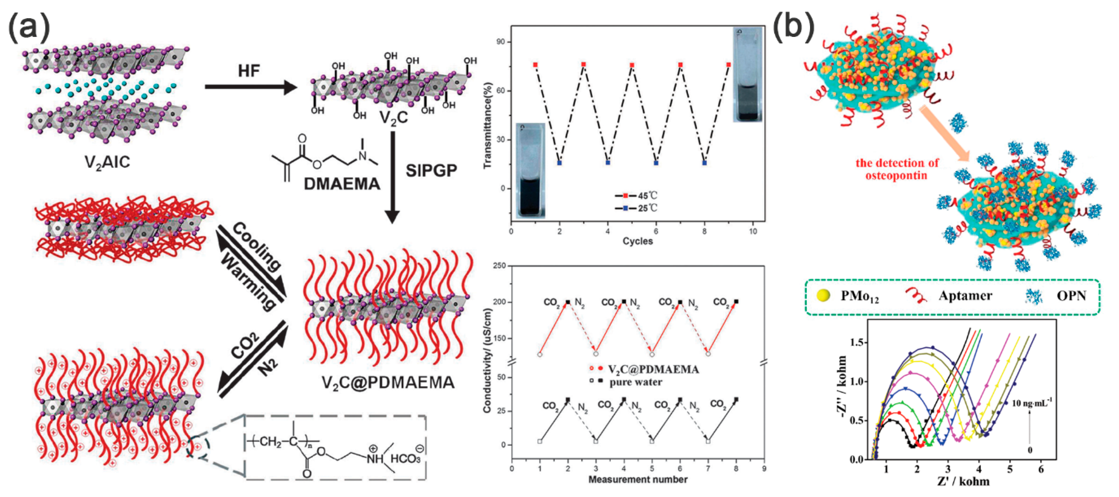 Nanomaterials 11 00166 g010