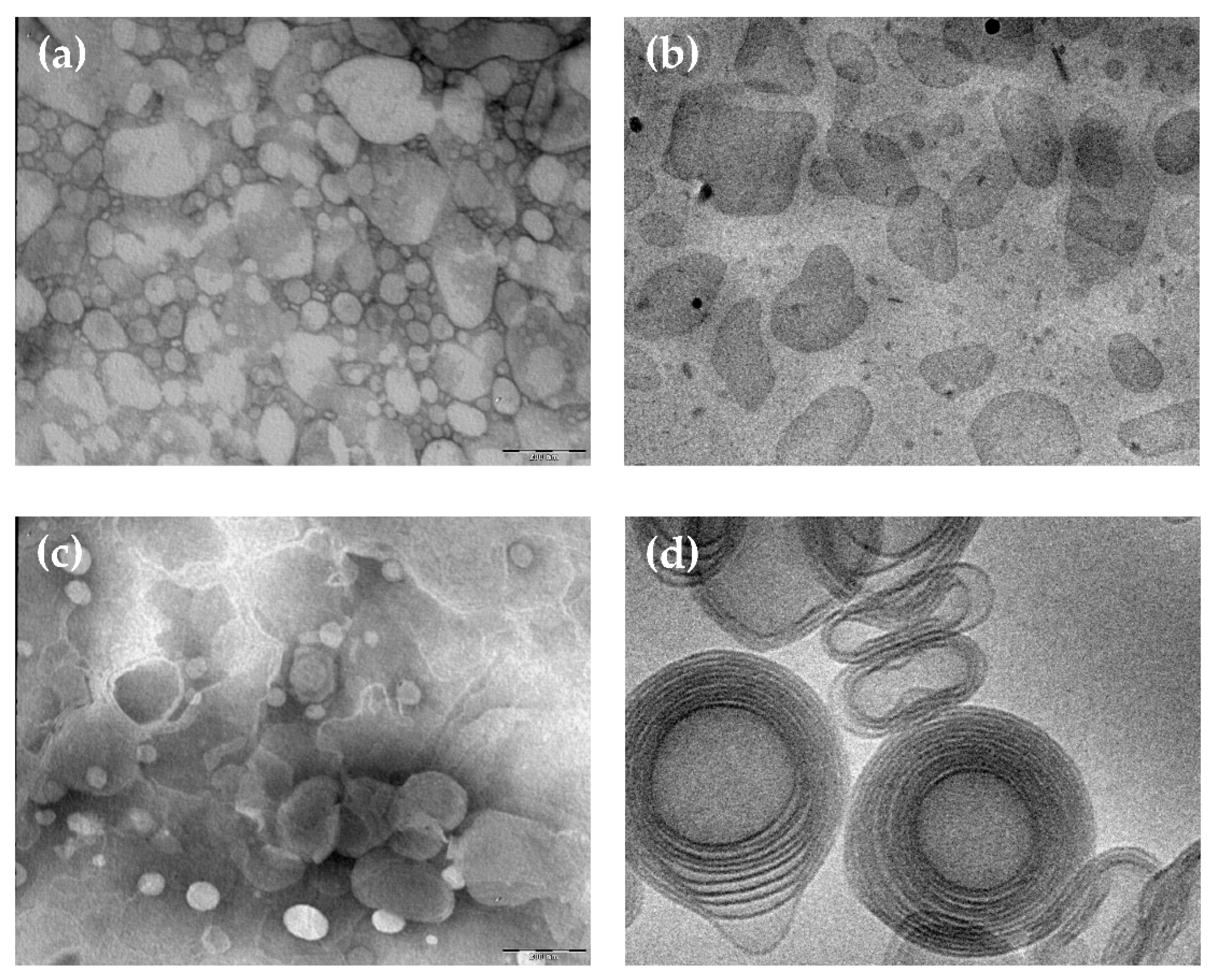 Nanomaterials 11 00171 g001