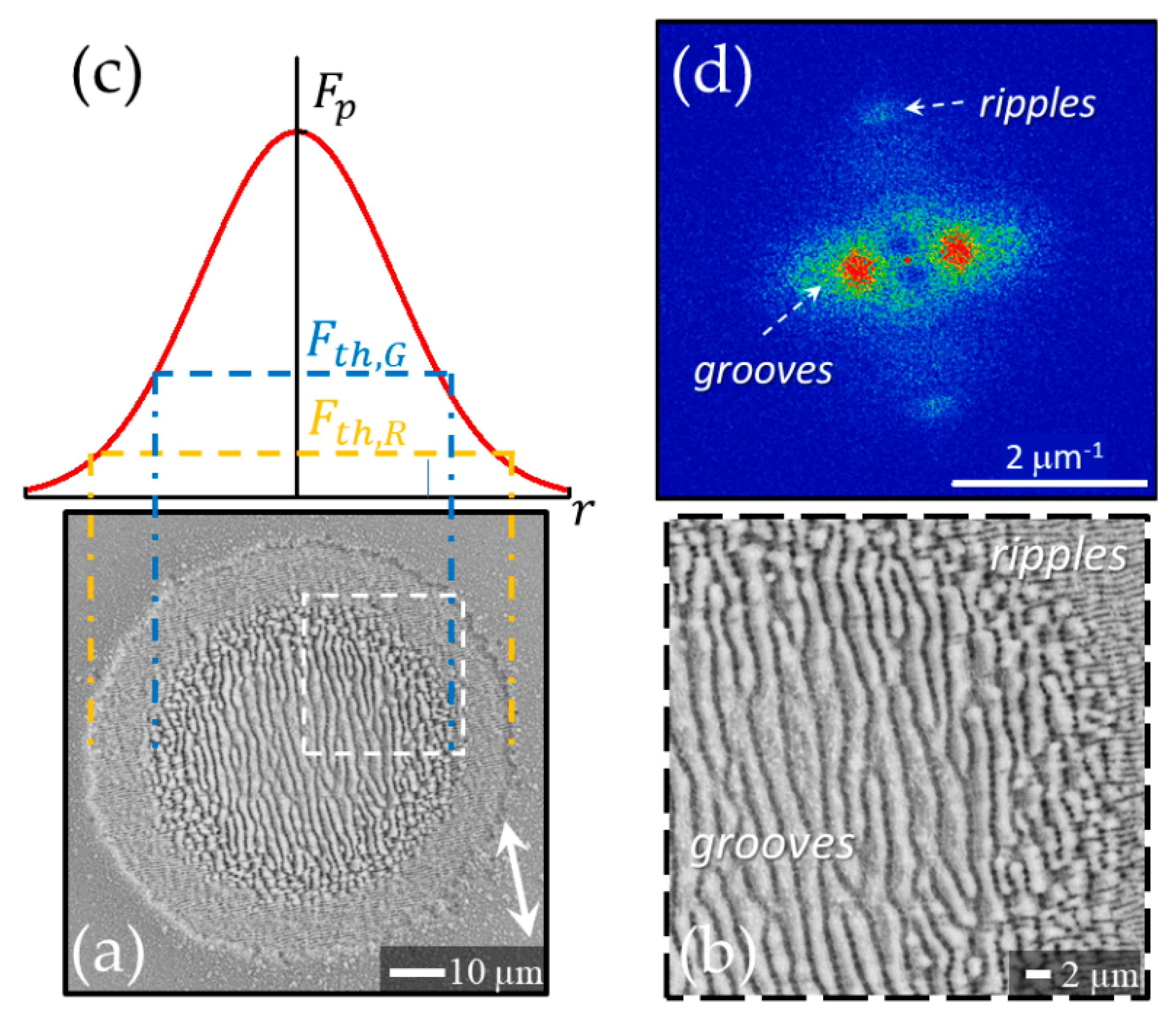 Nanomaterials 11 00174 g002