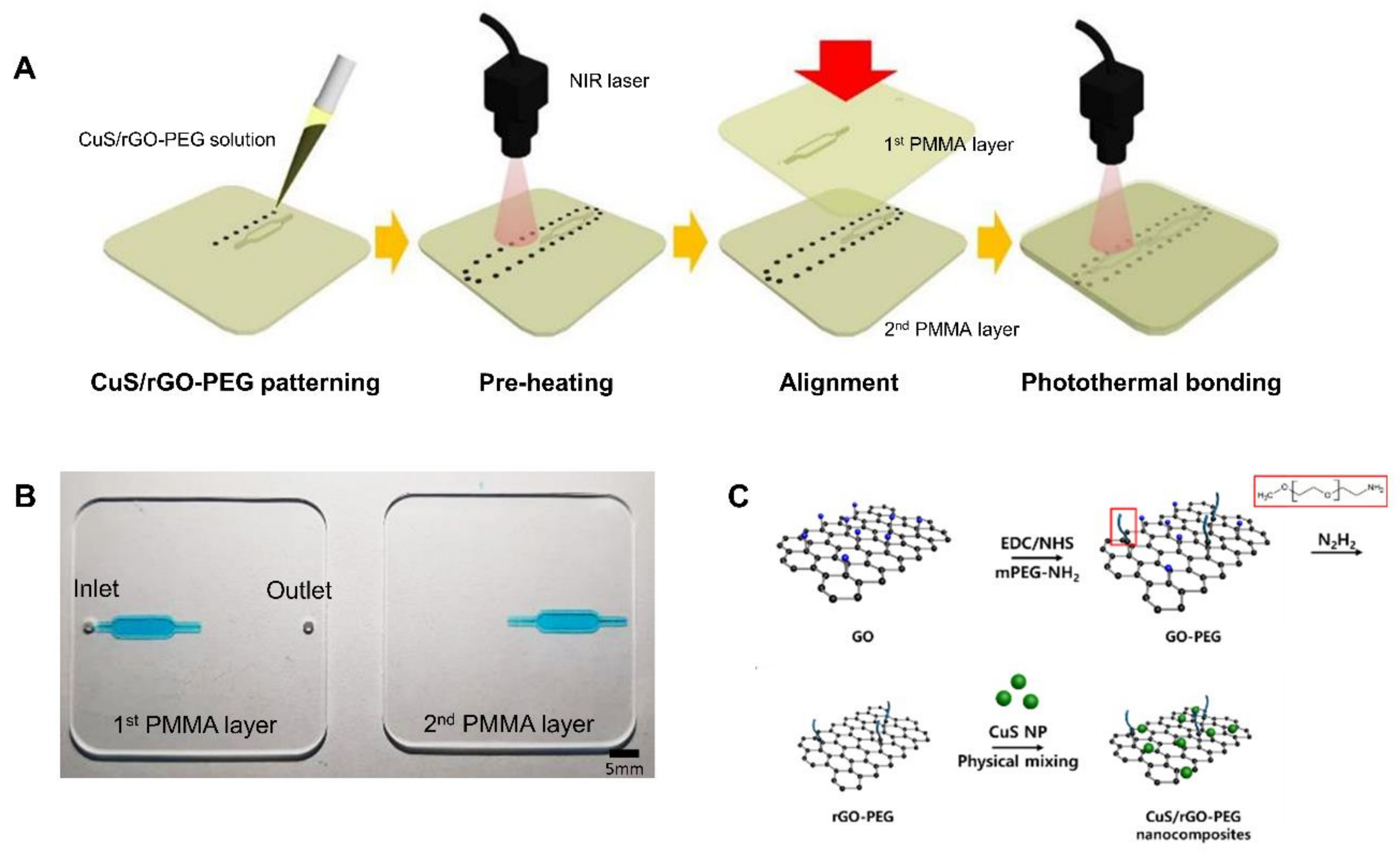 Nanomaterials 11 00176 g001 Nanomaterials 11 00176 g001