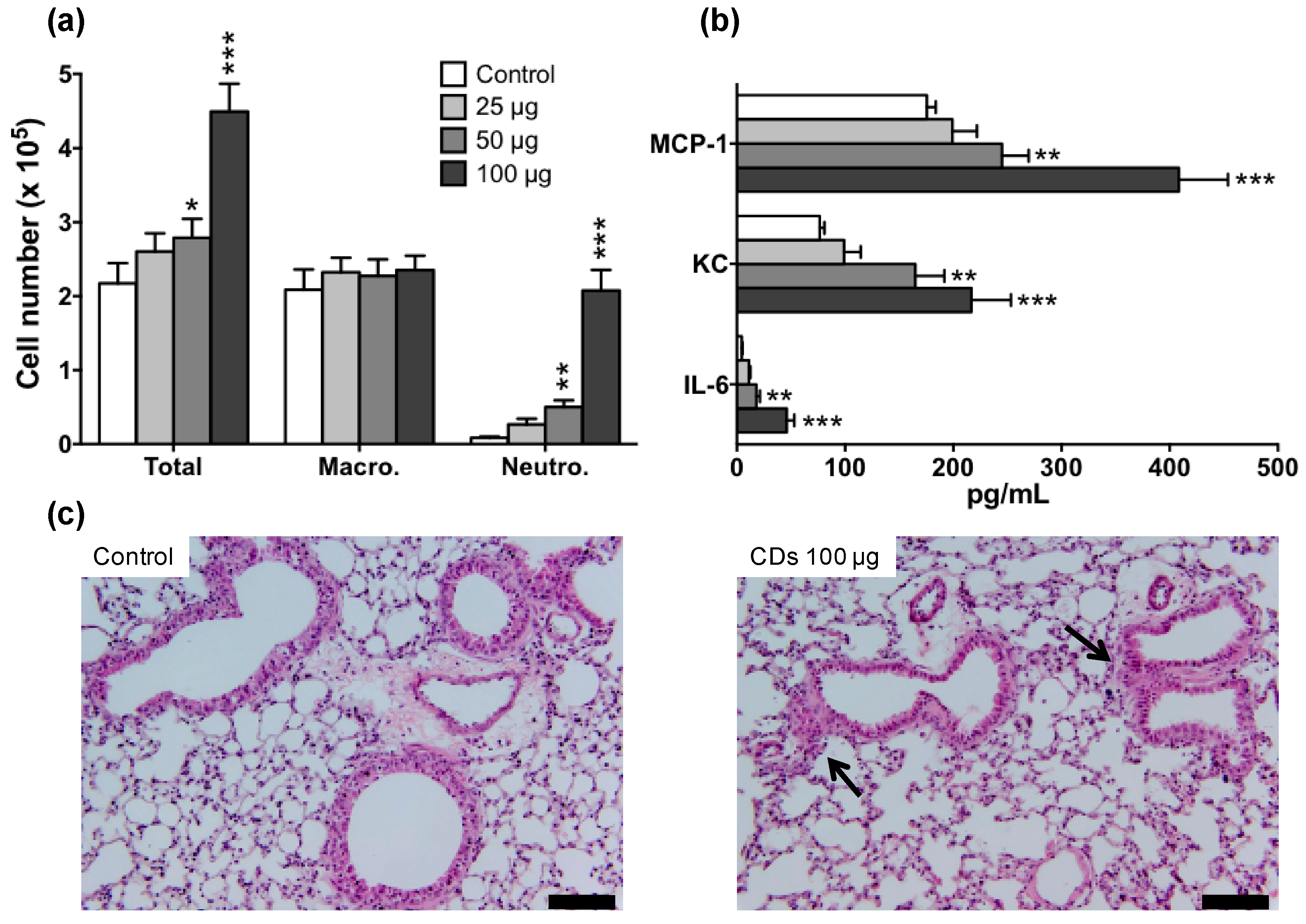Nanomaterials 11 00180 g002 Nanomaterials 11 00180 g002