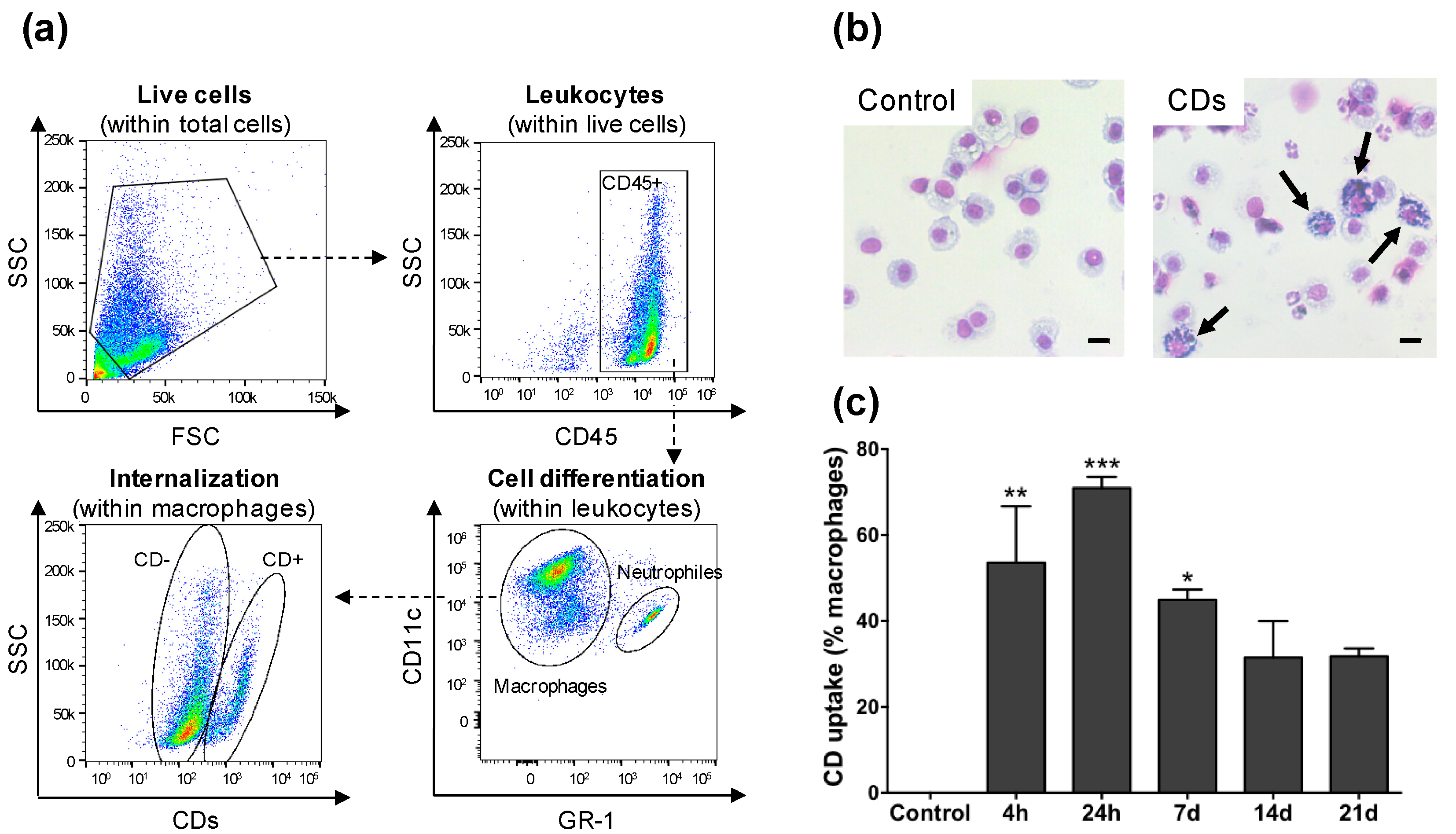 Nanomaterials 11 00180 g003 Nanomaterials 11 00180 g003