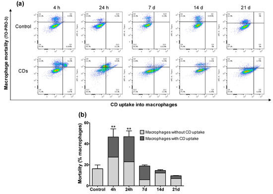 Combined In Vitro and In Vivo Approaches to Propose a