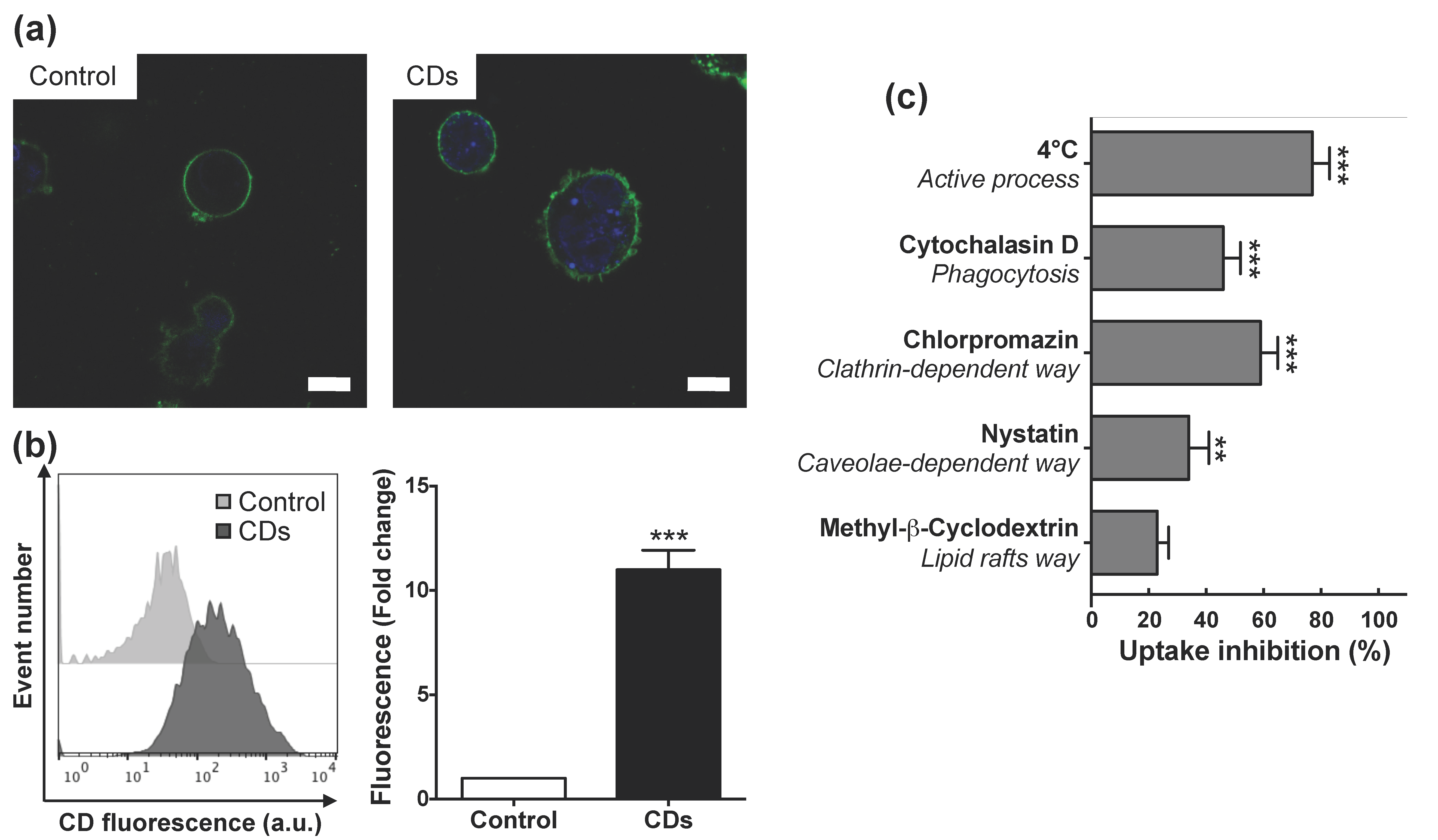 Nanomaterials 11 00180 g005 Nanomaterials 11 00180 g005