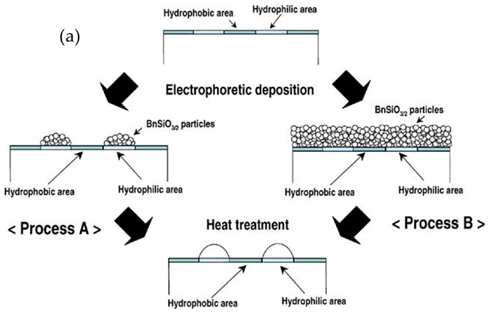 Nanomaterials 11 00181 g002a Nanomaterials 11 00181 g002a
