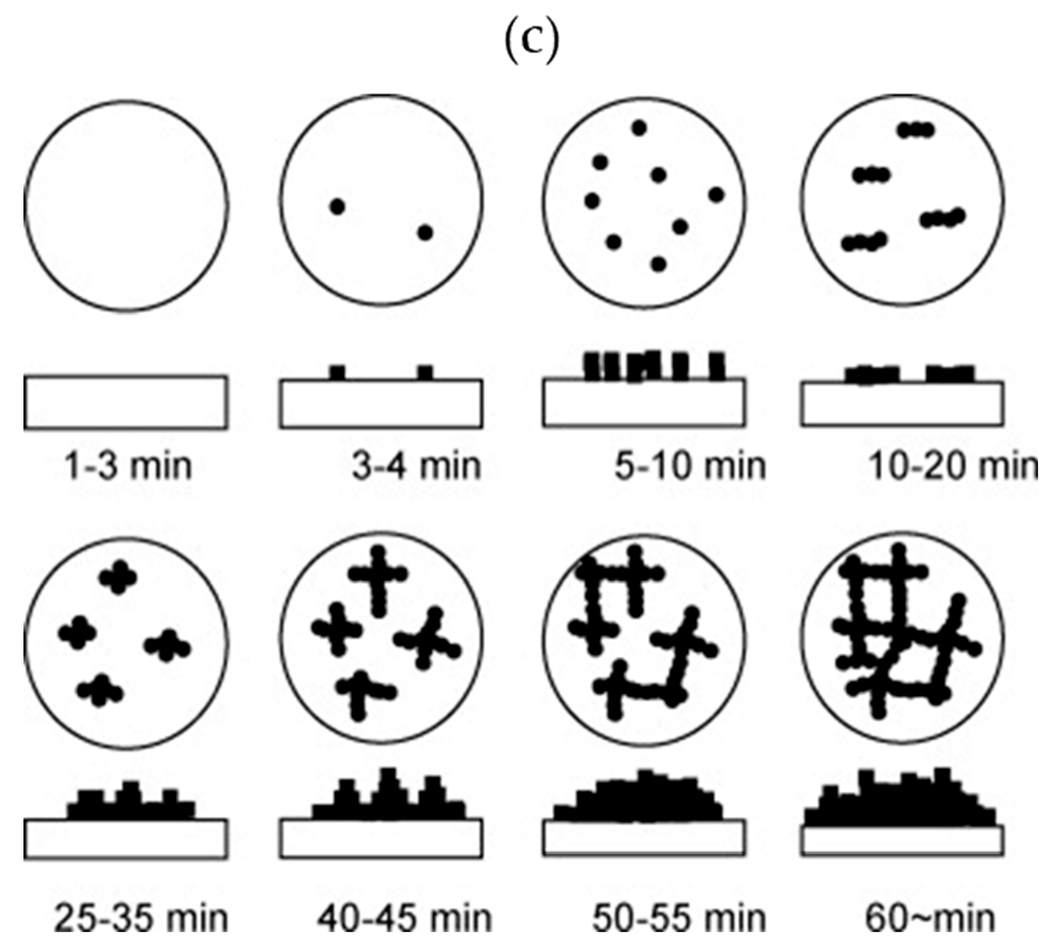 Nanomaterials 11 00181 g006b Nanomaterials 11 00181 g006b
