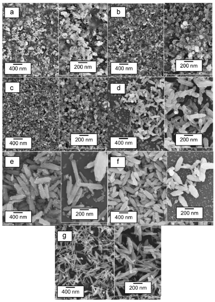 Nanomaterials 11 00181 g010a Nanomaterials 11 00181 g010a