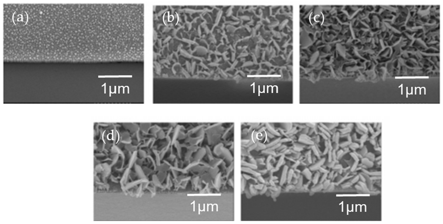 Nanomaterials 11 00181 g011 Nanomaterials 11 00181 g011