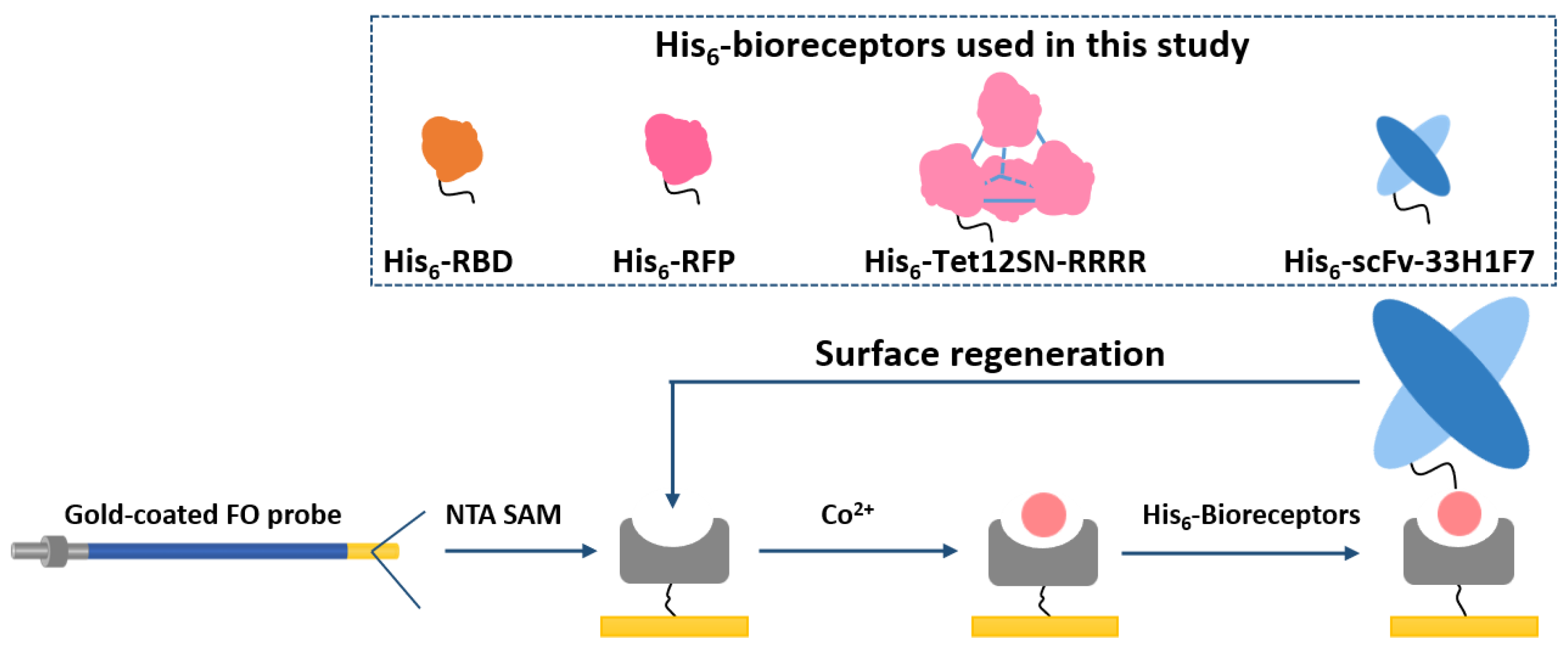 Nanomaterials 11 00186 g001 Nanomaterials 11 00186 g001