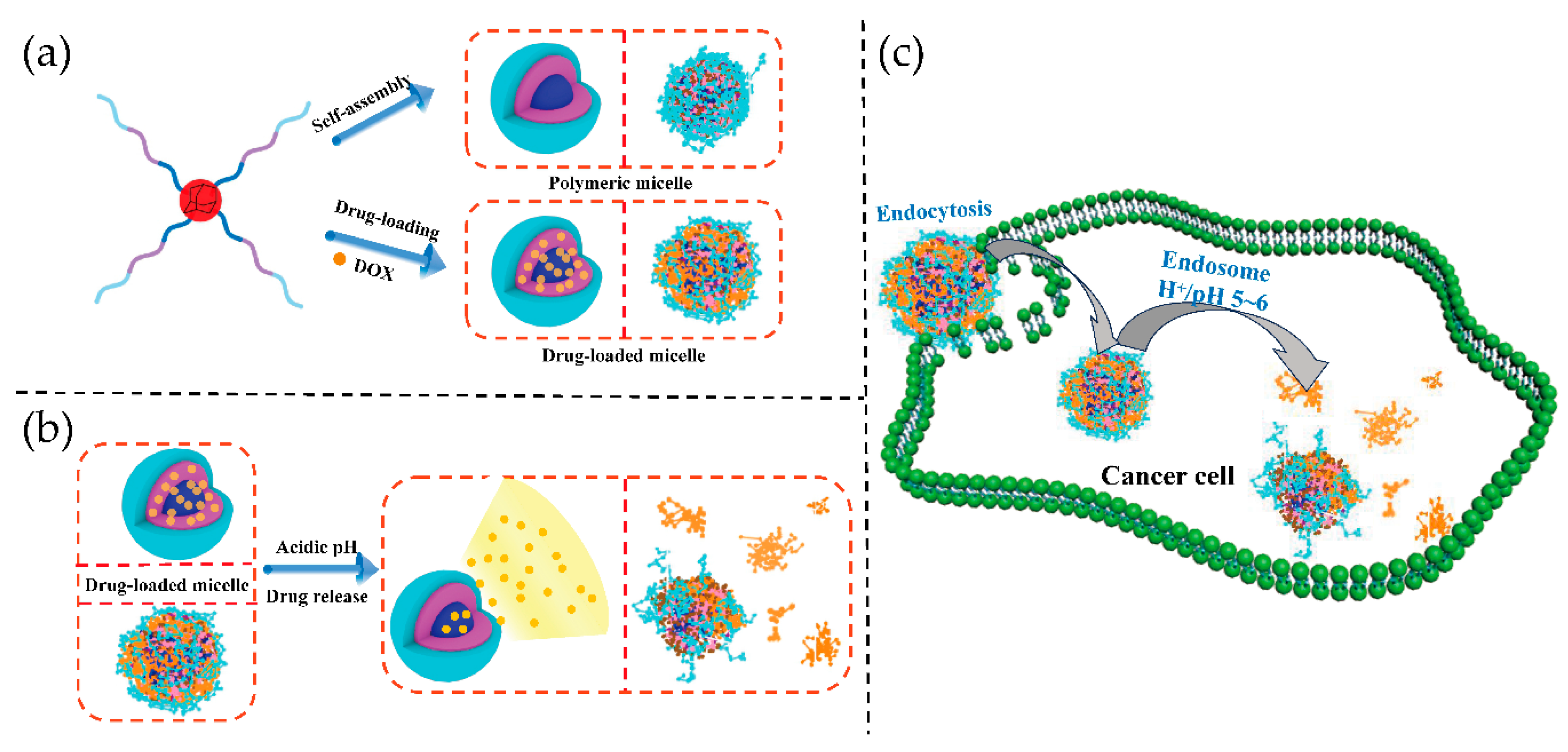 Nanomaterials 11 00188 g001
