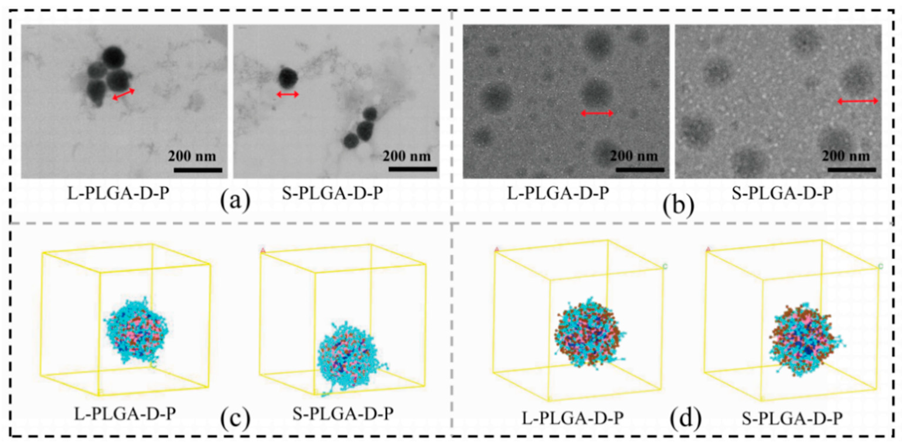 Nanomaterials 11 00188 g005