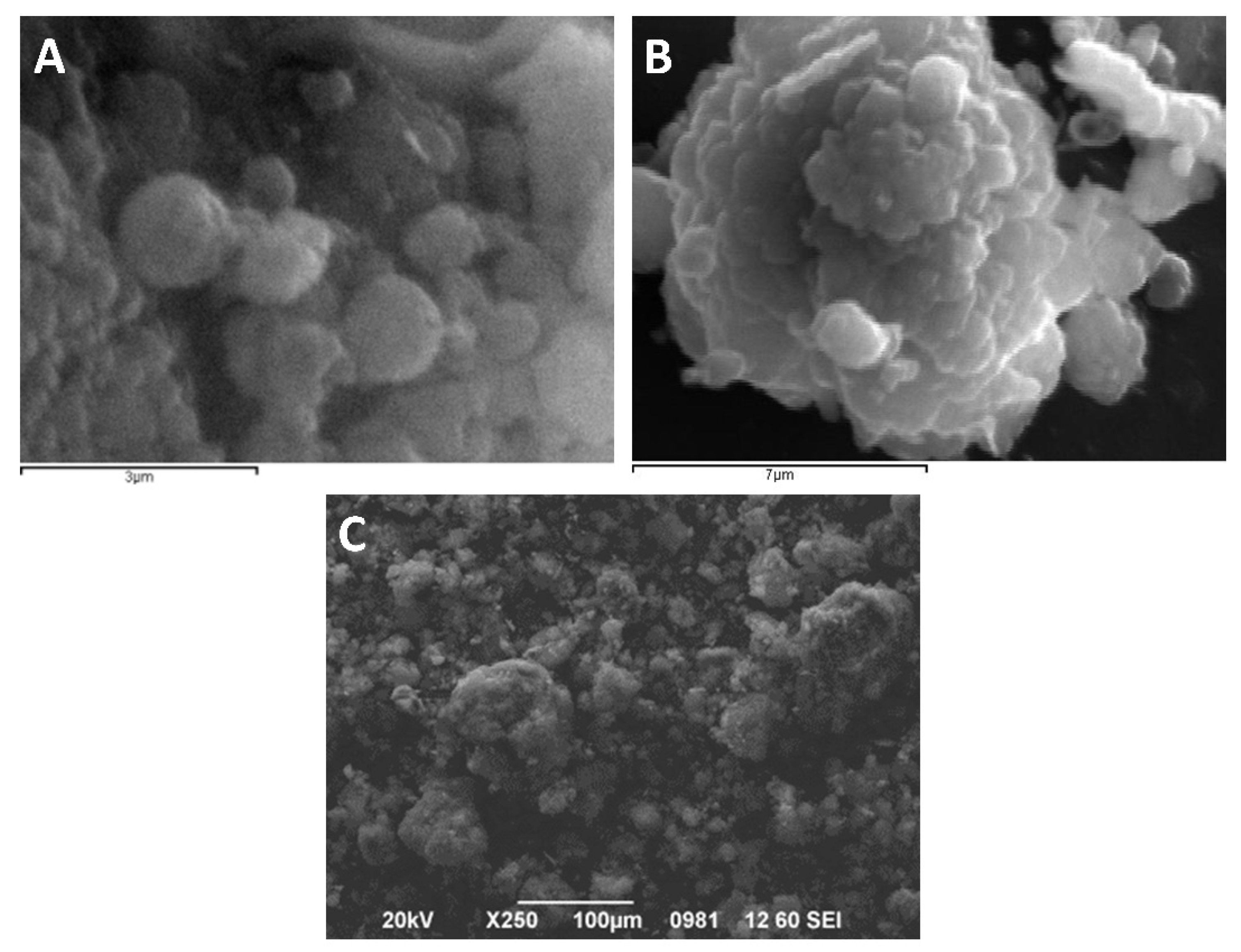 Nanomaterials 11 00191 g008 Nanomaterials 11 00191 g008