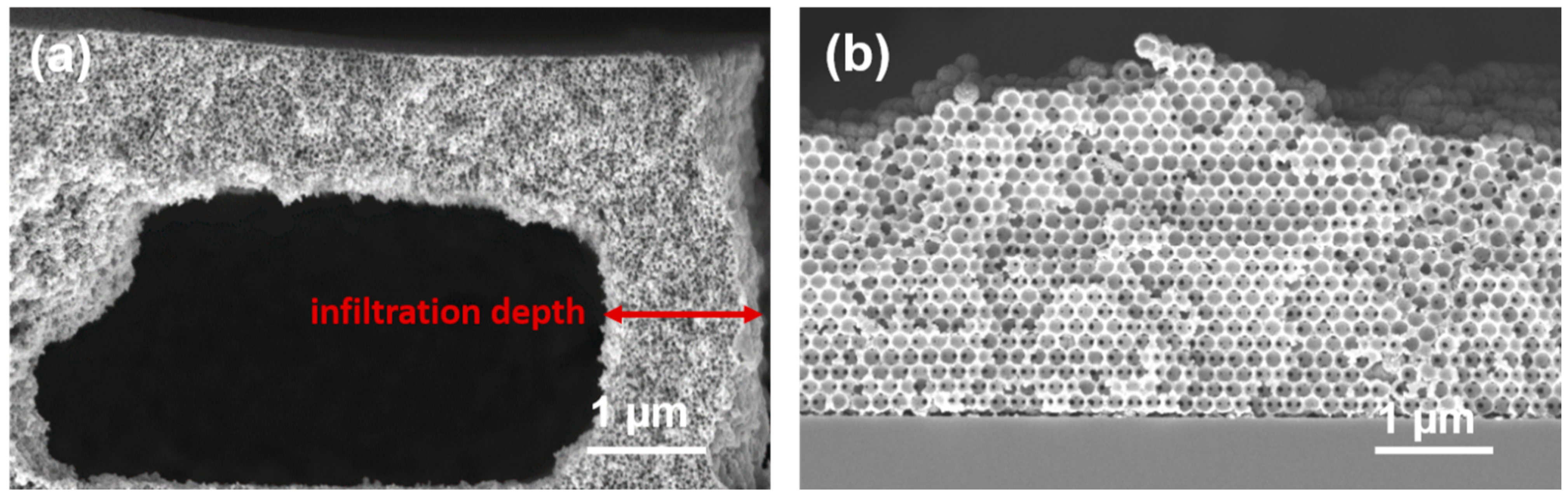 Nanomaterials 11 00196 g003 Nanomaterials 11 00196 g003
