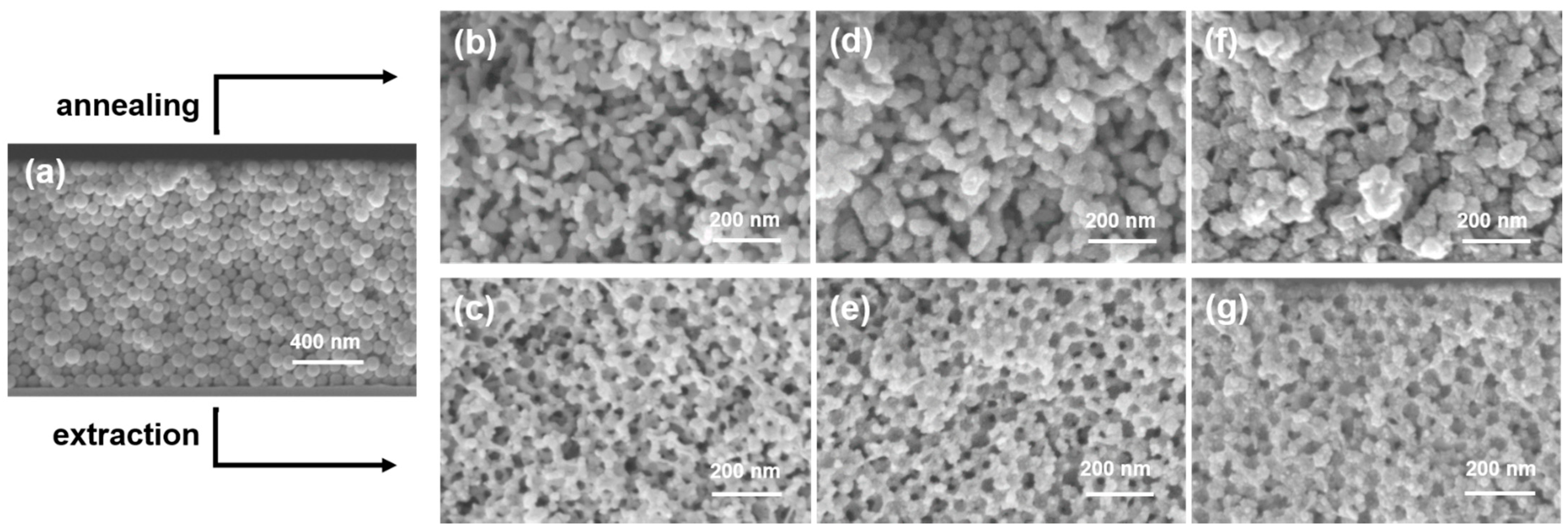 Nanomaterials 11 00196 g004 Nanomaterials 11 00196 g004