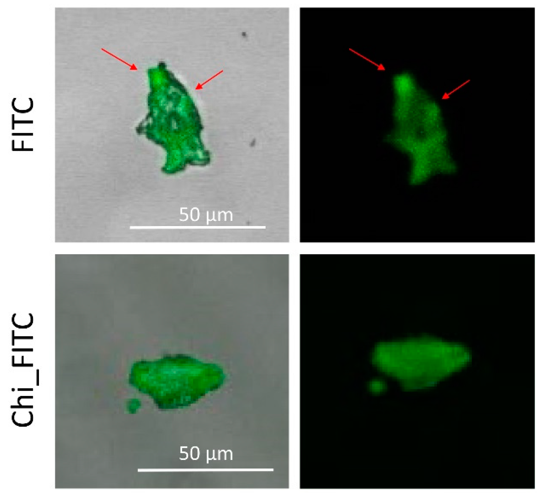 Nanomaterials 11 00197 g003 Nanomaterials 11 00197 g003