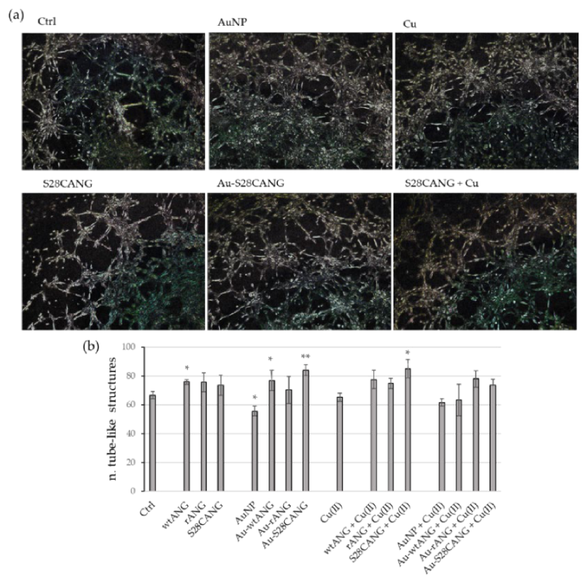 Nanomaterials 11 00201 g008