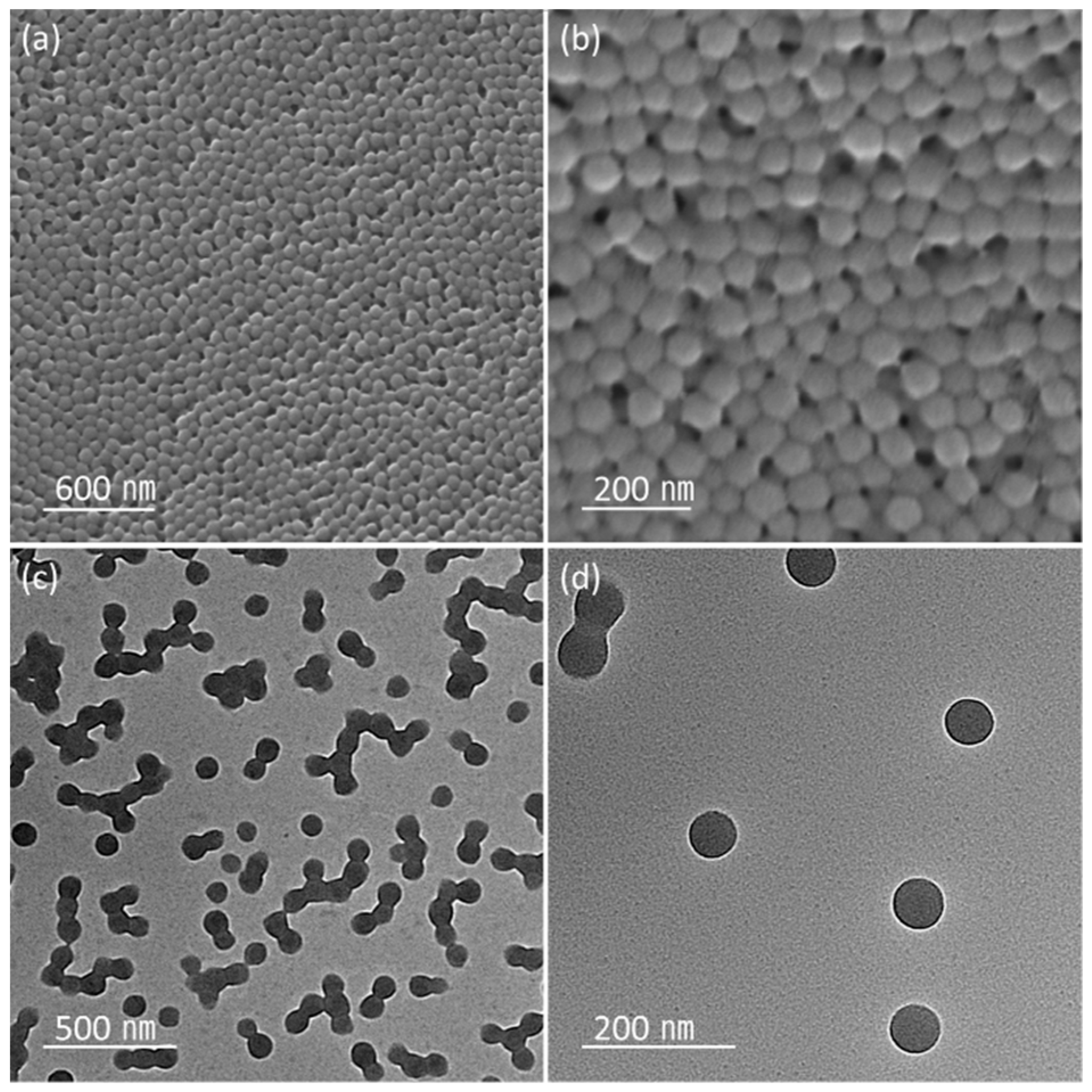 Nanomaterials 11 00204 g001 Nanomaterials 11 00204 g001