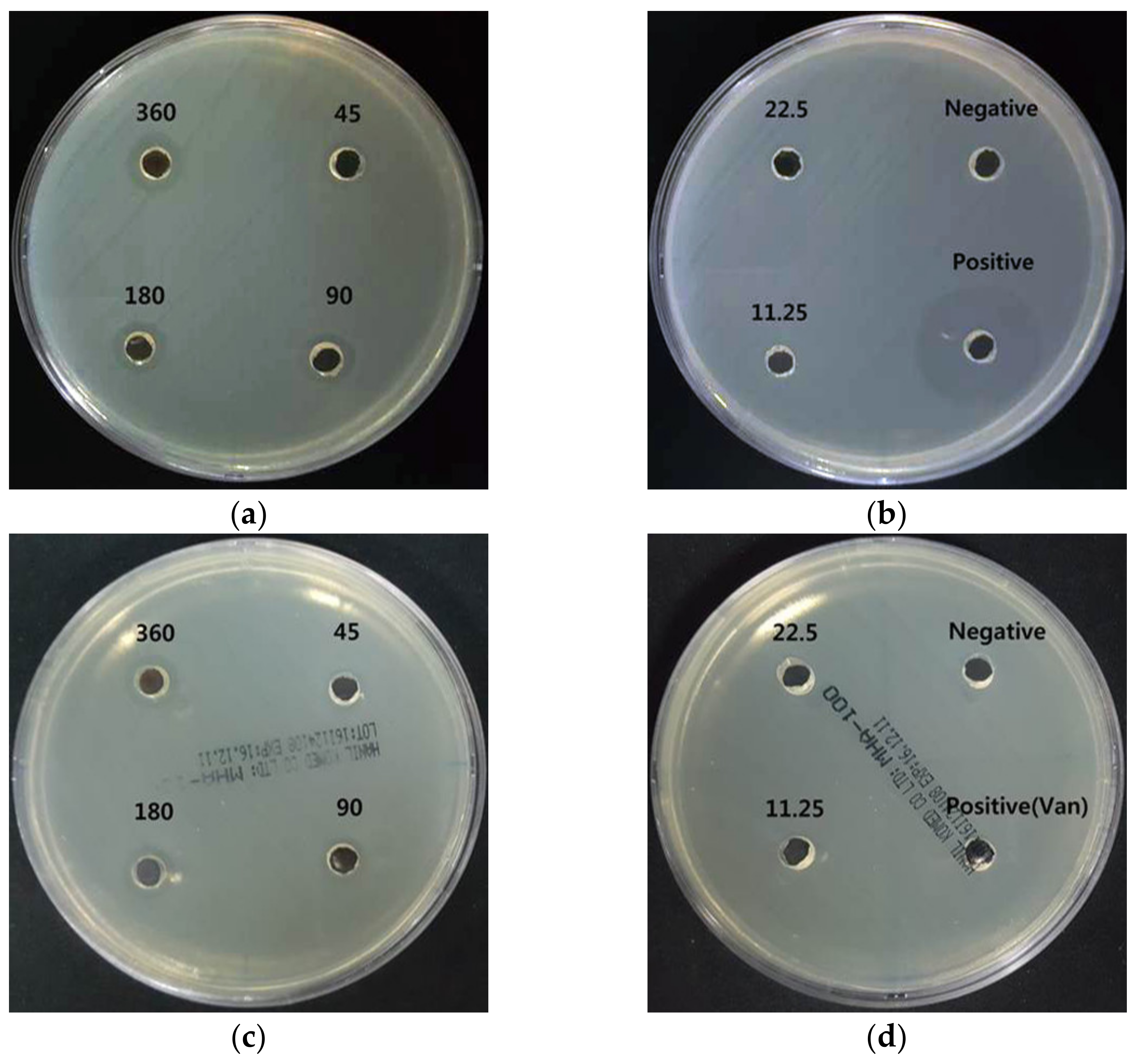 Nanomaterials 11 00205 g005