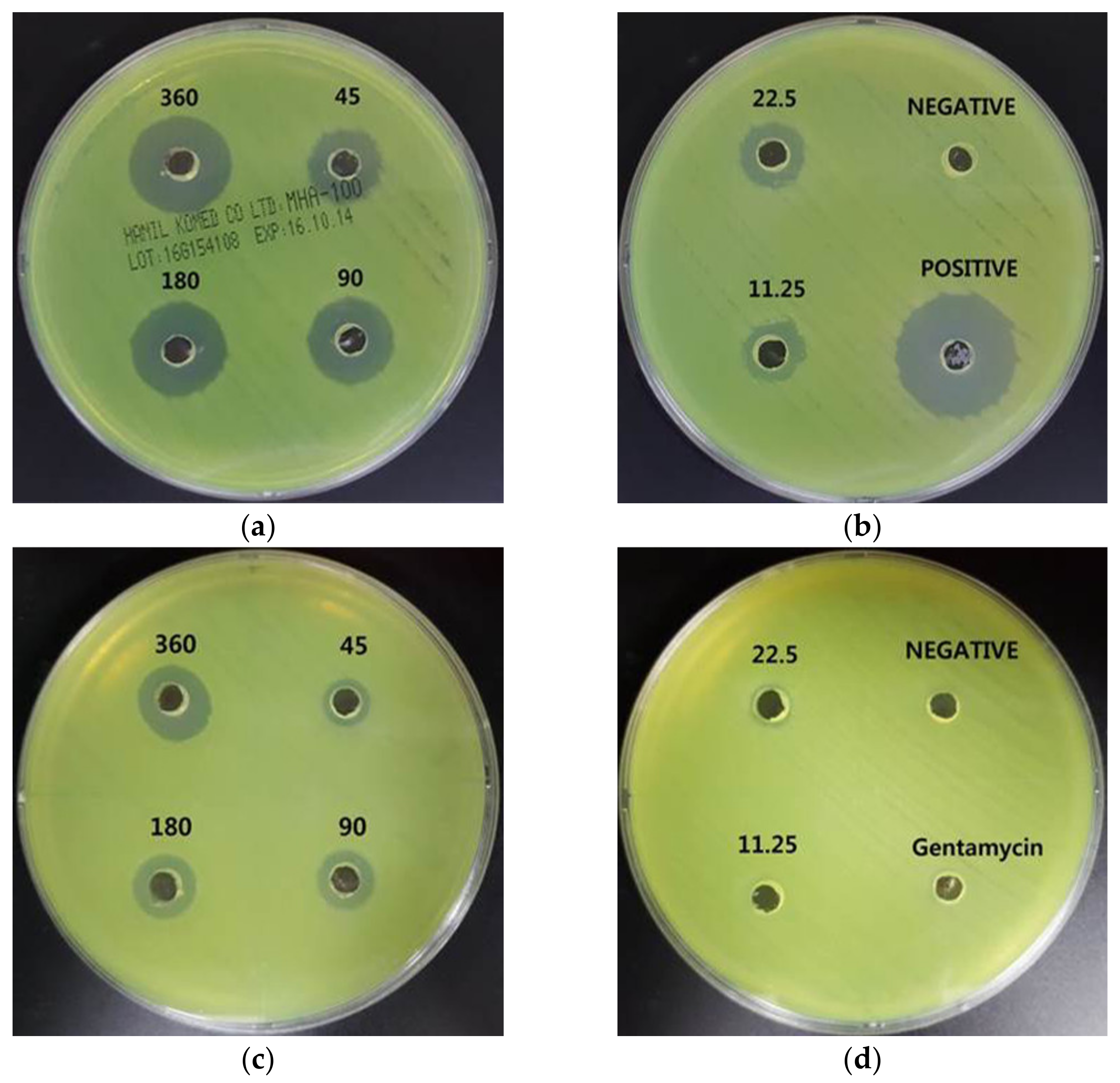 Nanomaterials 11 00205 g006
