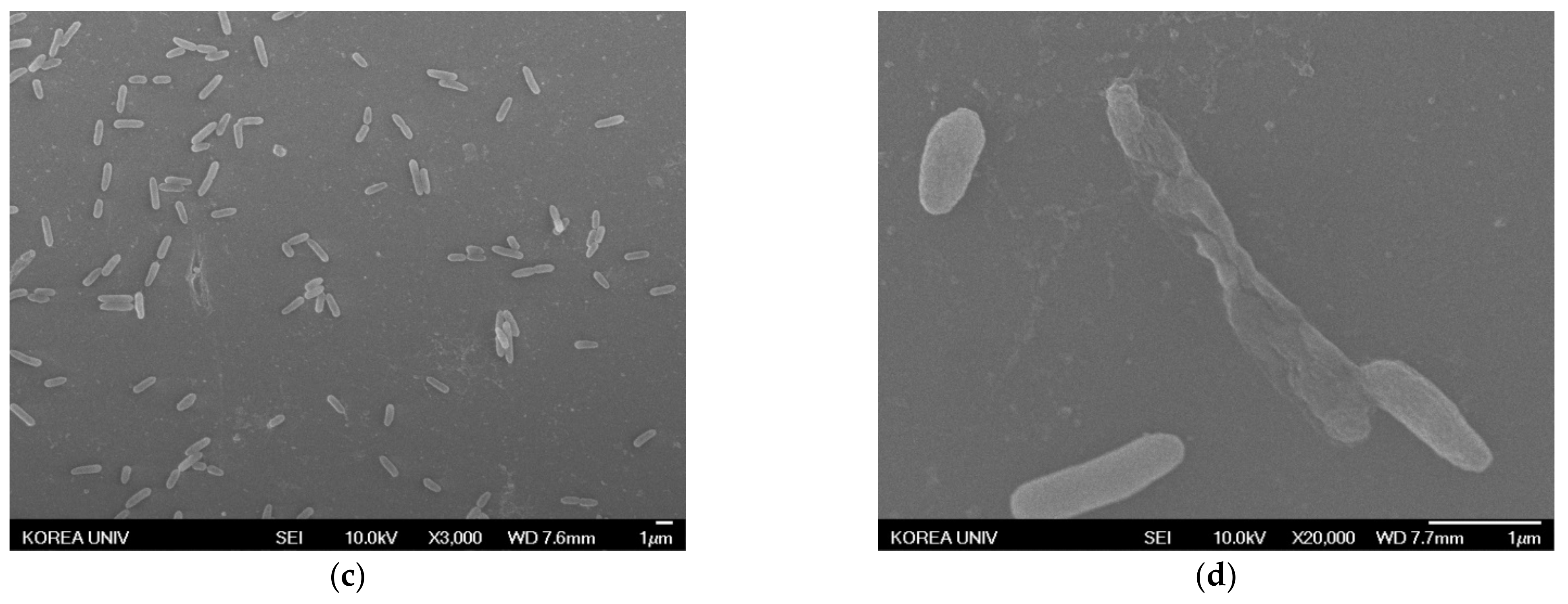 Nanomaterials 11 00205 g009b