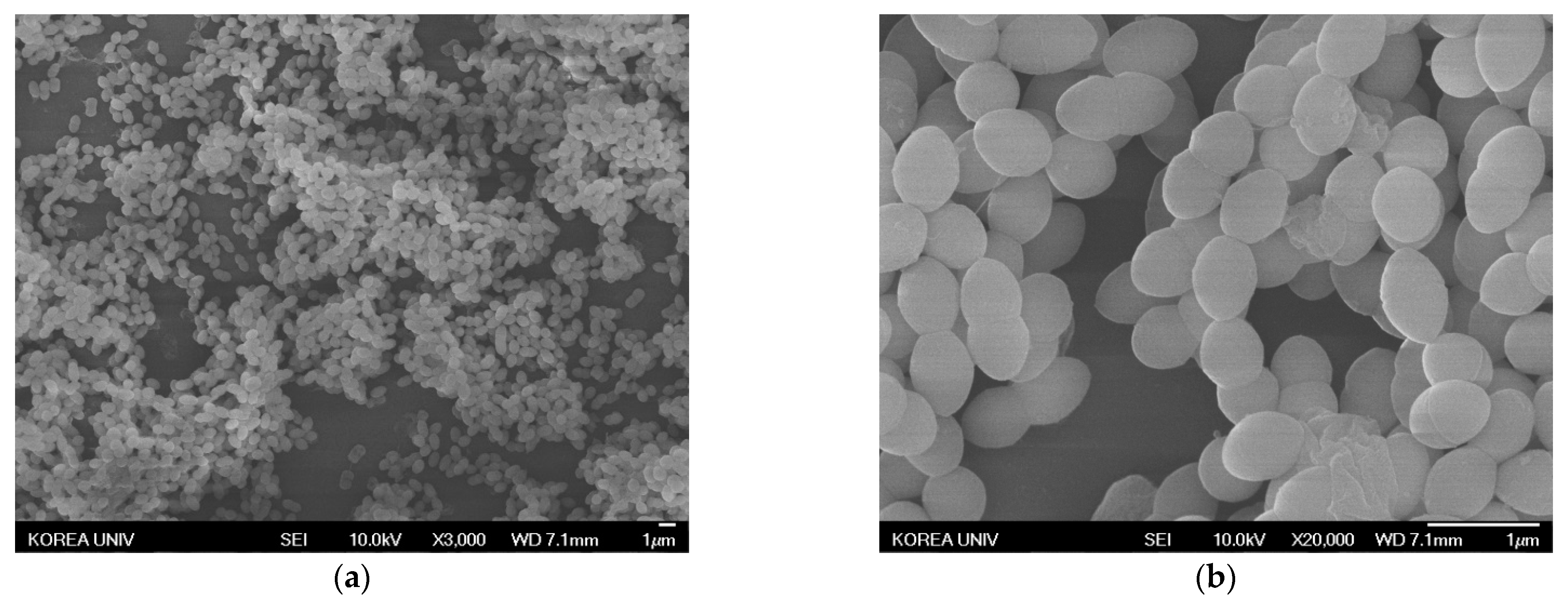 Nanomaterials 11 00205 g010a