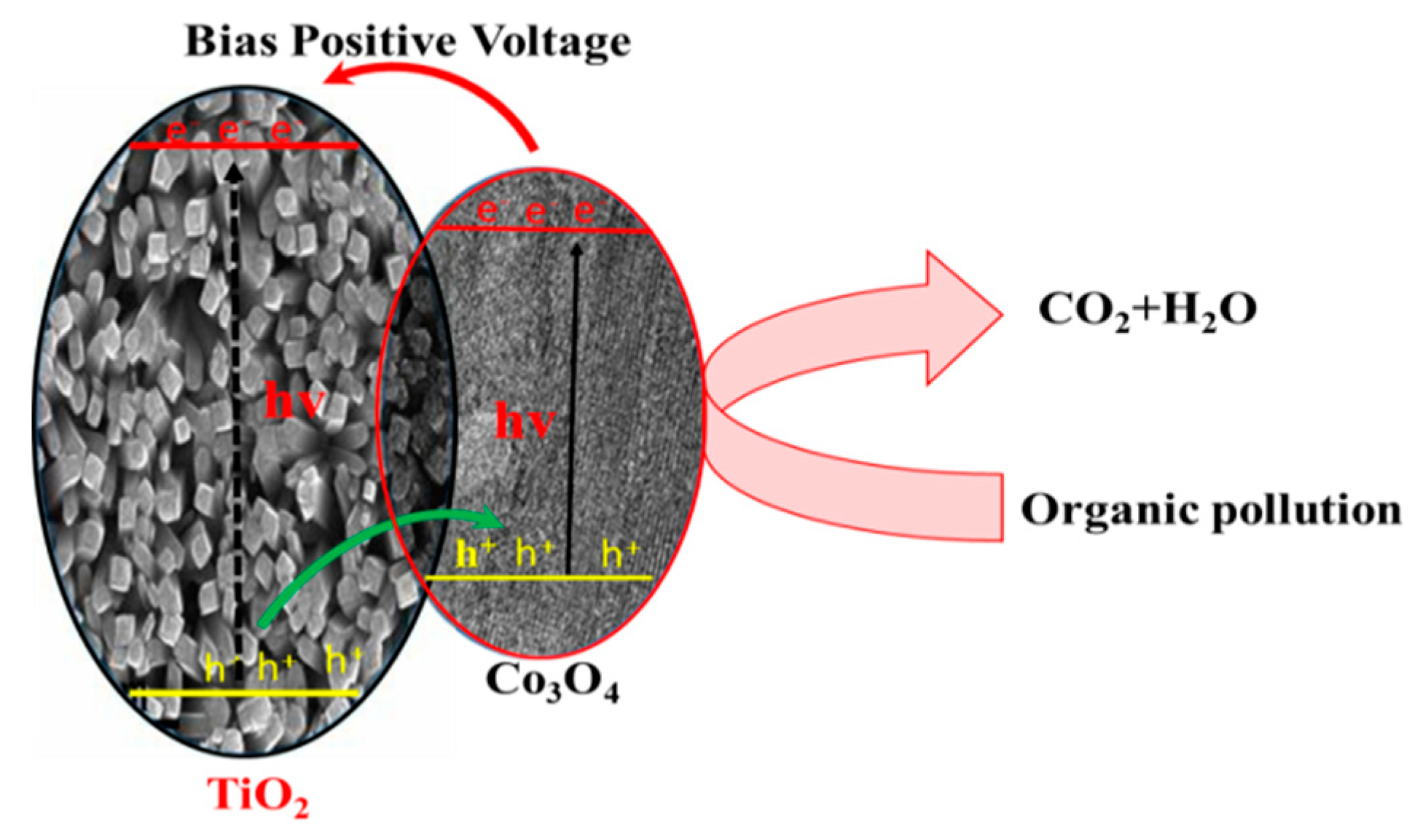 Nanomaterials 11 00214 sch001 Nanomaterials 11 00214 sch001