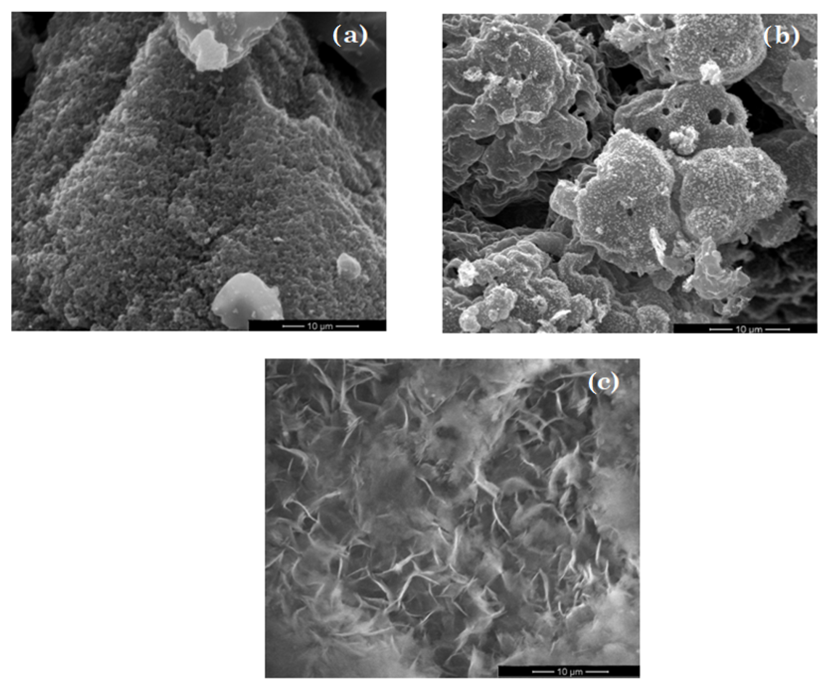 Nanomaterials 11 00215 g005 Nanomaterials 11 00215 g005