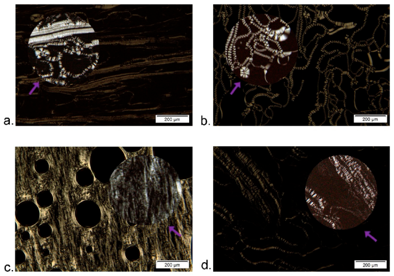 Nanomaterials 11 00217 g003