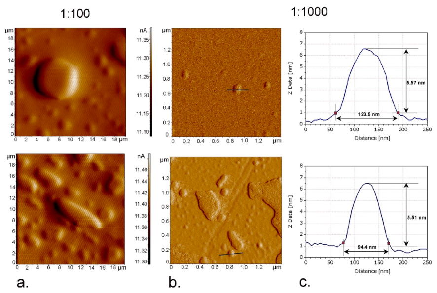 Nanomaterials 11 00217 g004