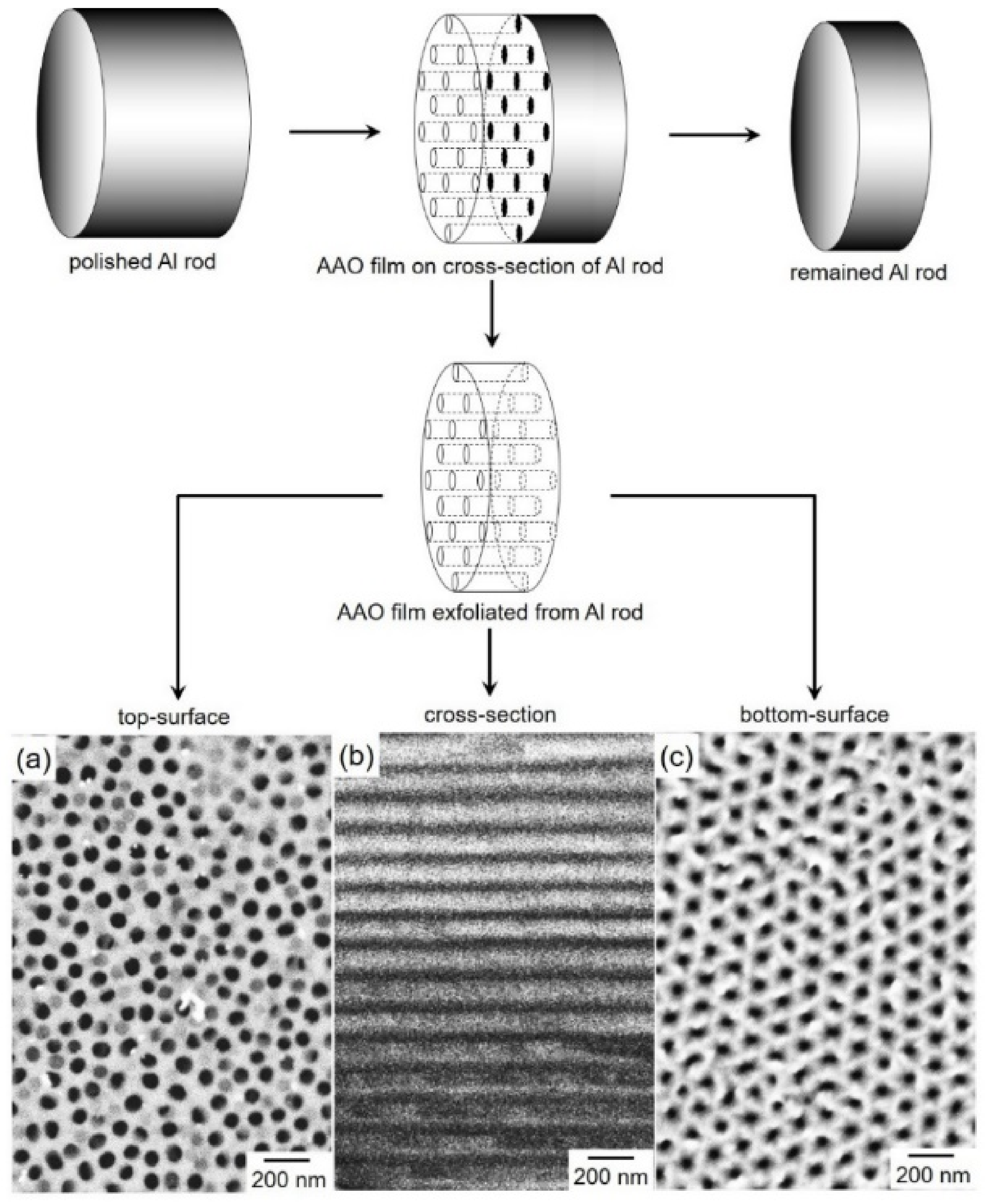 Nanomaterials 11 00218 g001