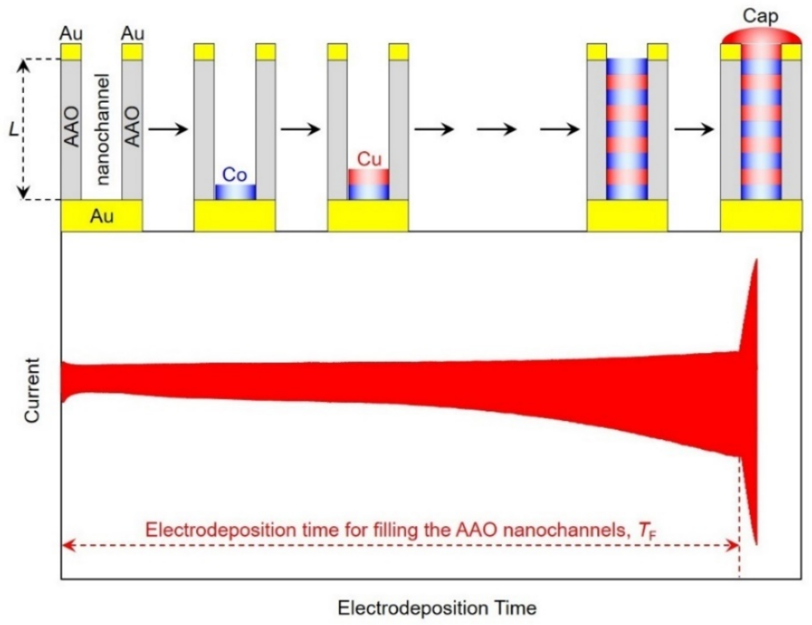 Nanomaterials 11 00218 g004