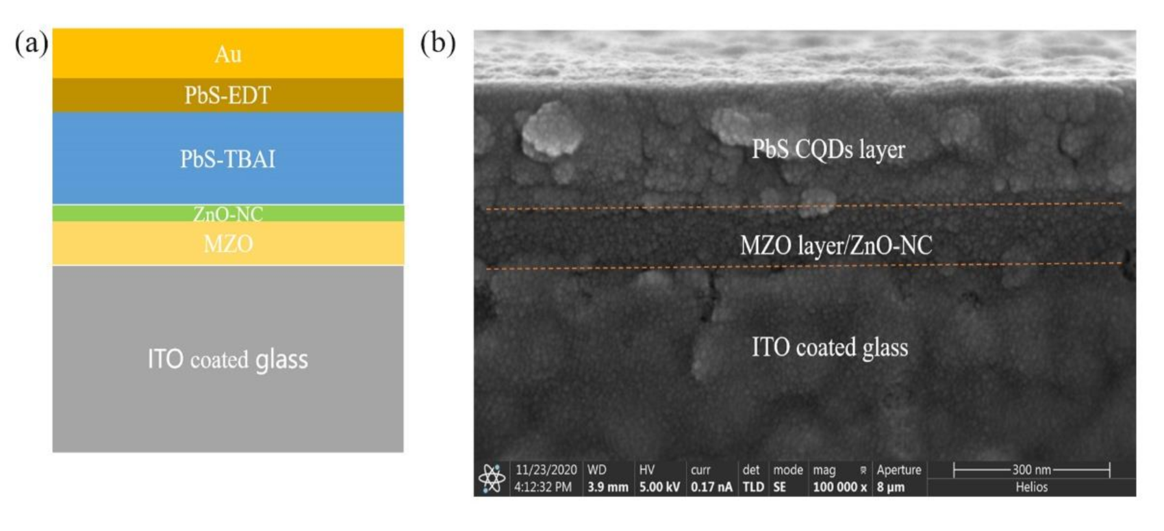 Nanomaterials 11 00219 g005a