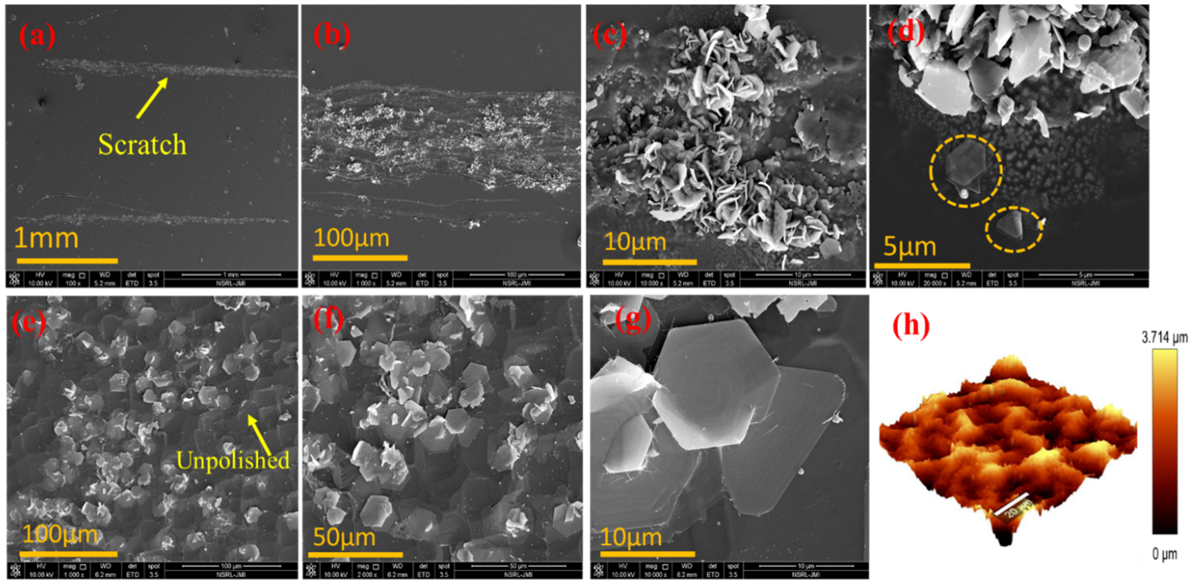 Nanomaterials 11 00220 g011 Nanomaterials 11 00220 g011