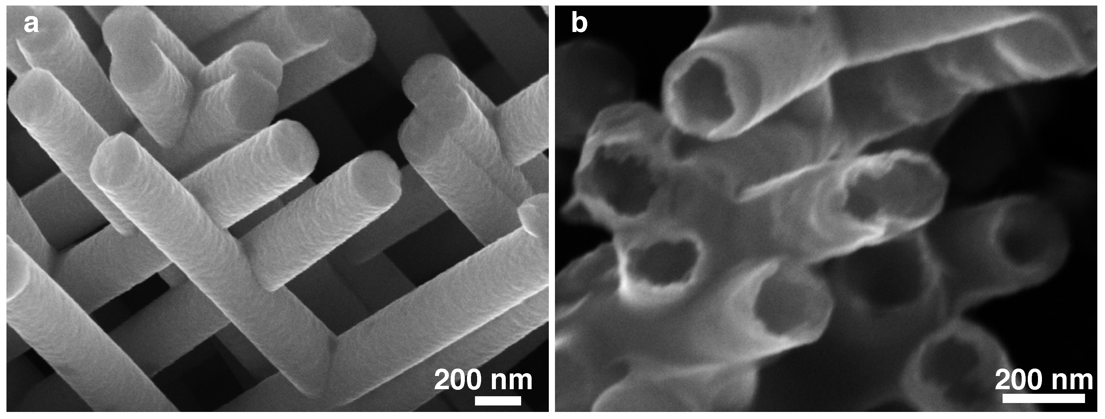 Nanomaterials 11 00221 g002